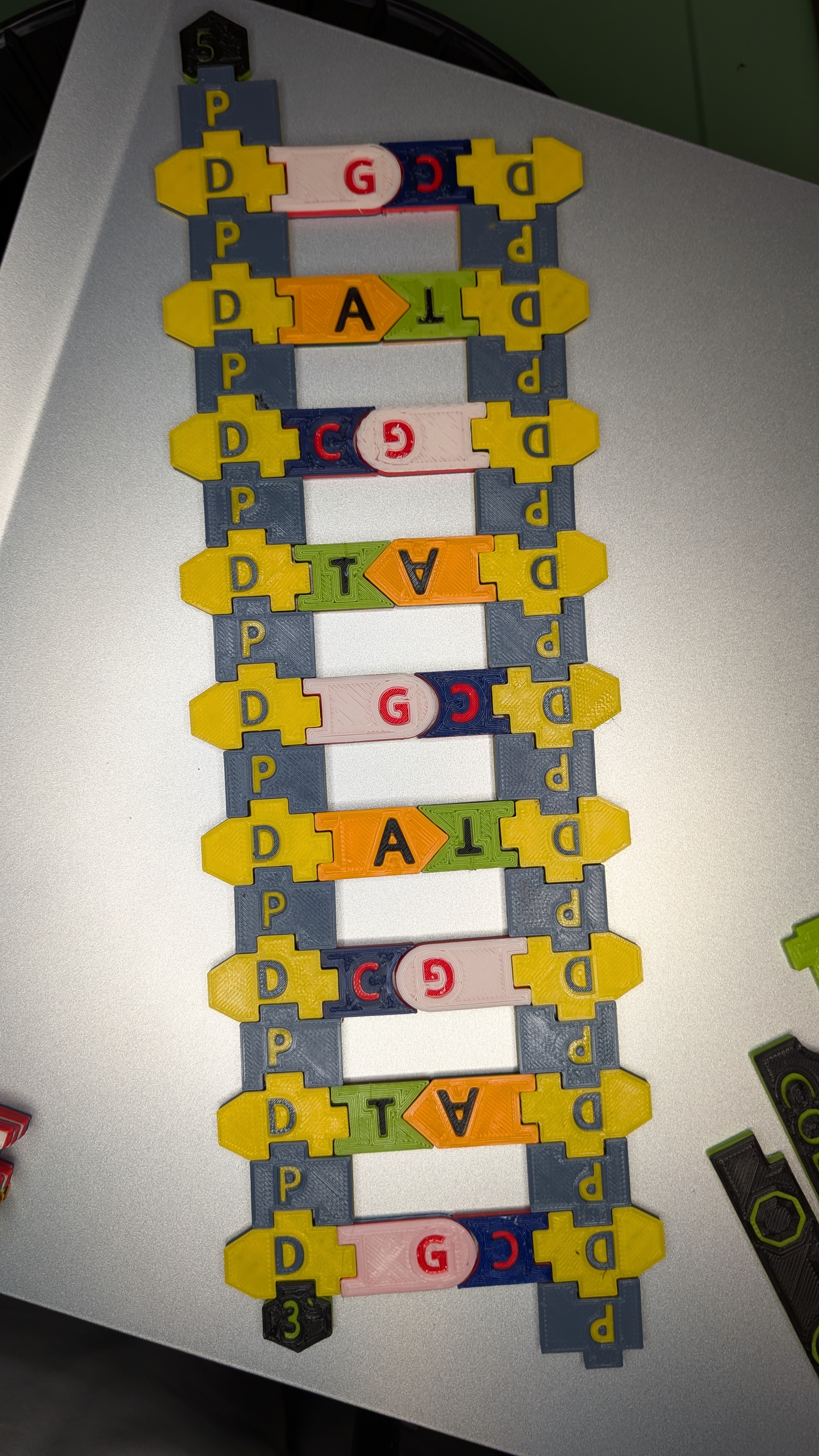 Magnetic DNA / RNA Tiles