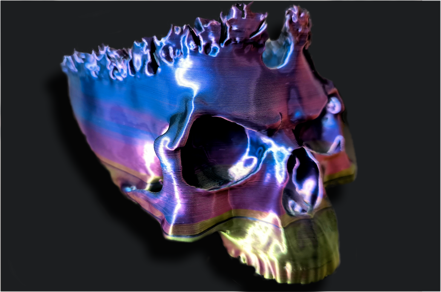 Undead  'Skull King' Series _ Skull-Bowl -3D Model