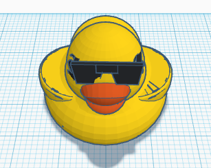 Duck