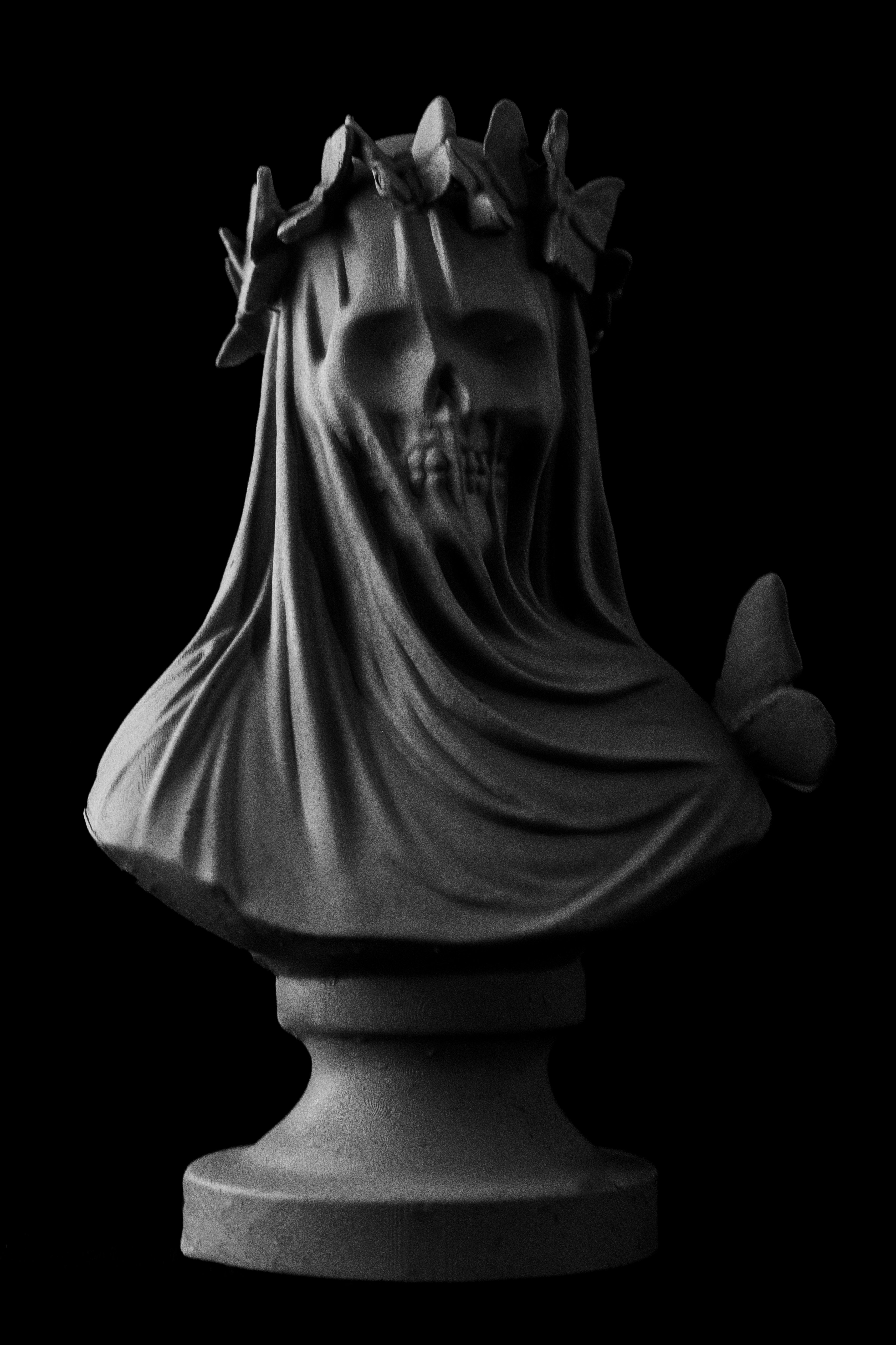 Flutterby Skull Bust (Pre Supported) — miniatura 5