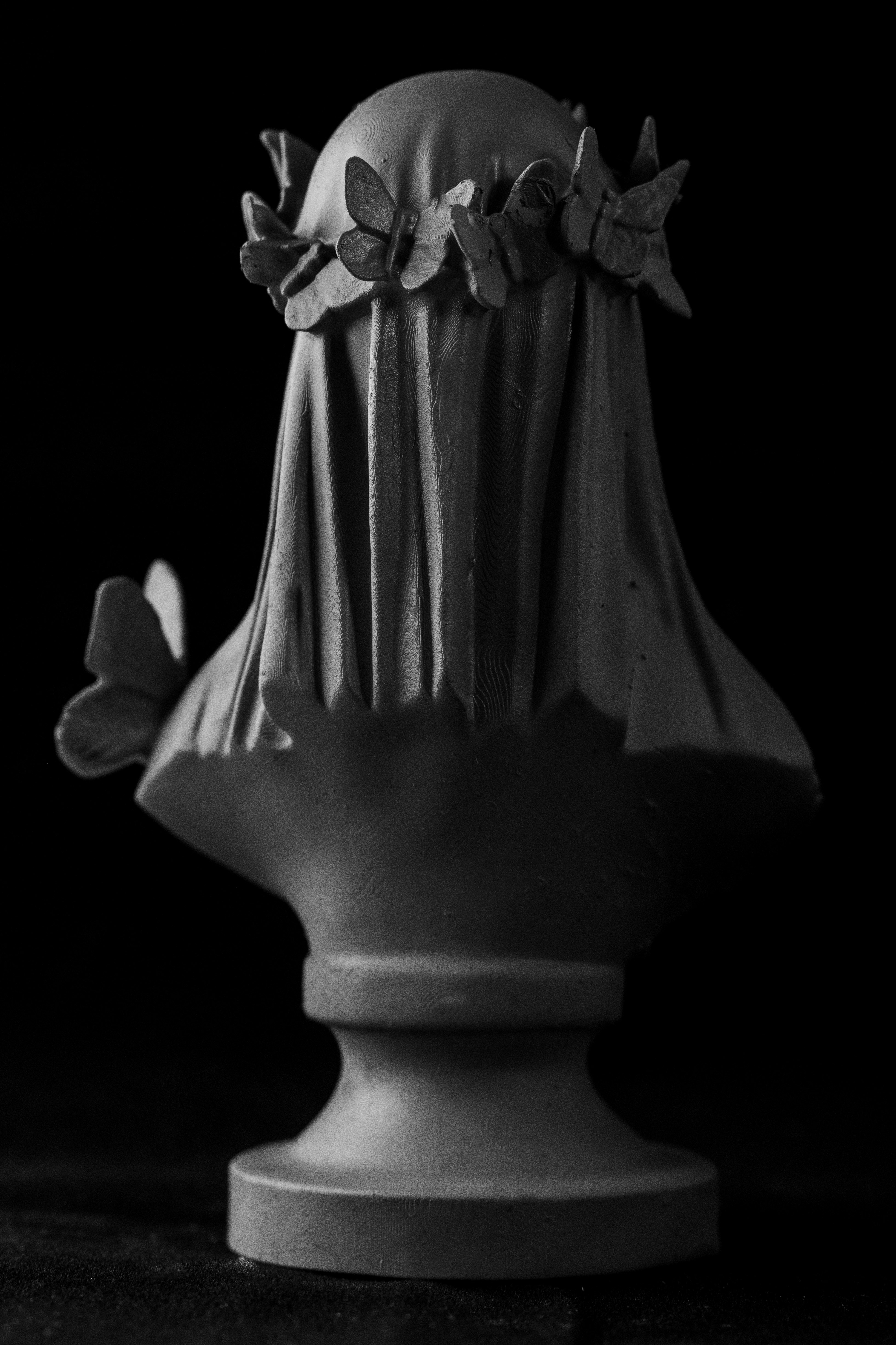 Flutterby Skull Bust (Pre Supported) — miniatura 6