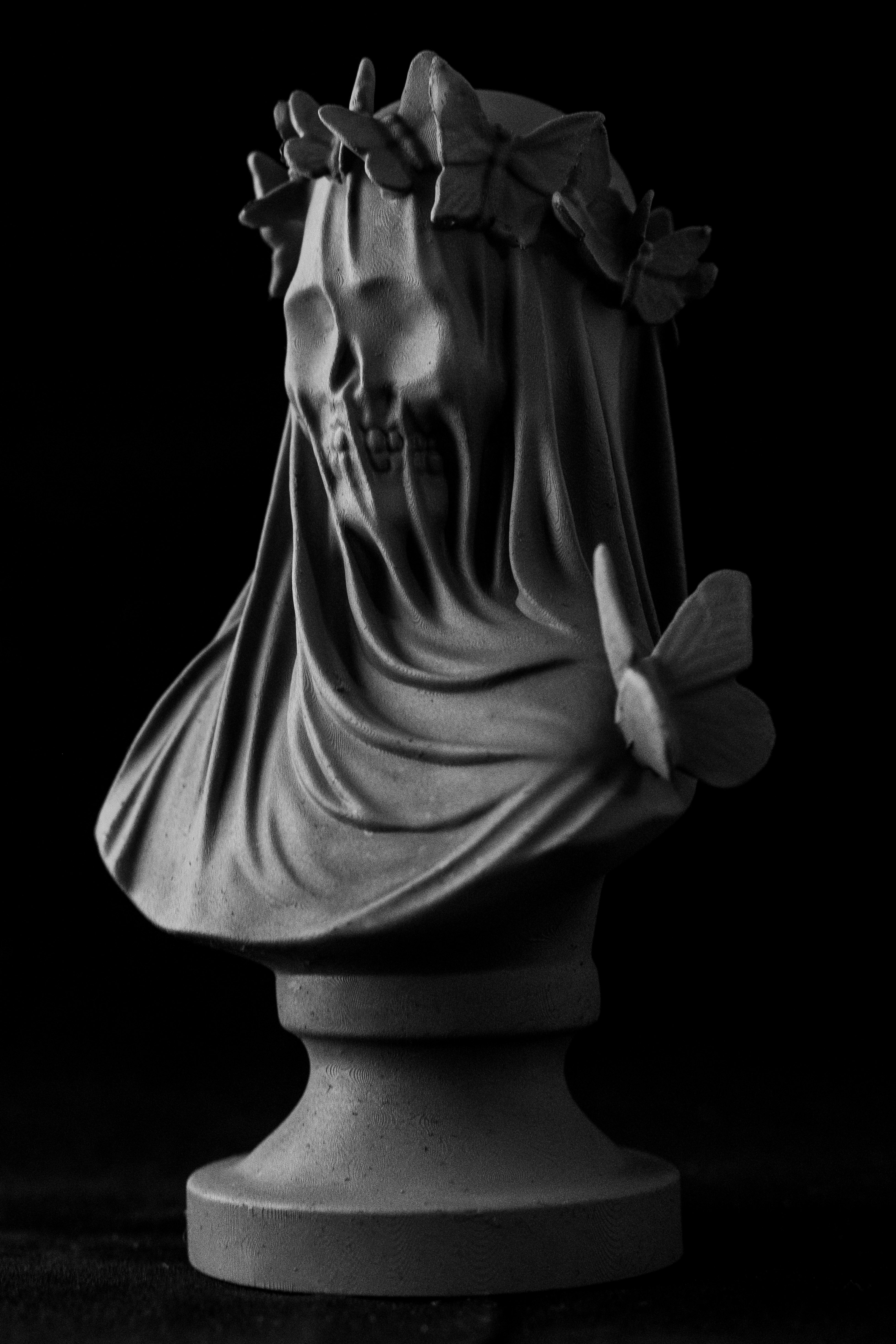 Flutterby Skull Bust (Pre Supported) — miniatura 7