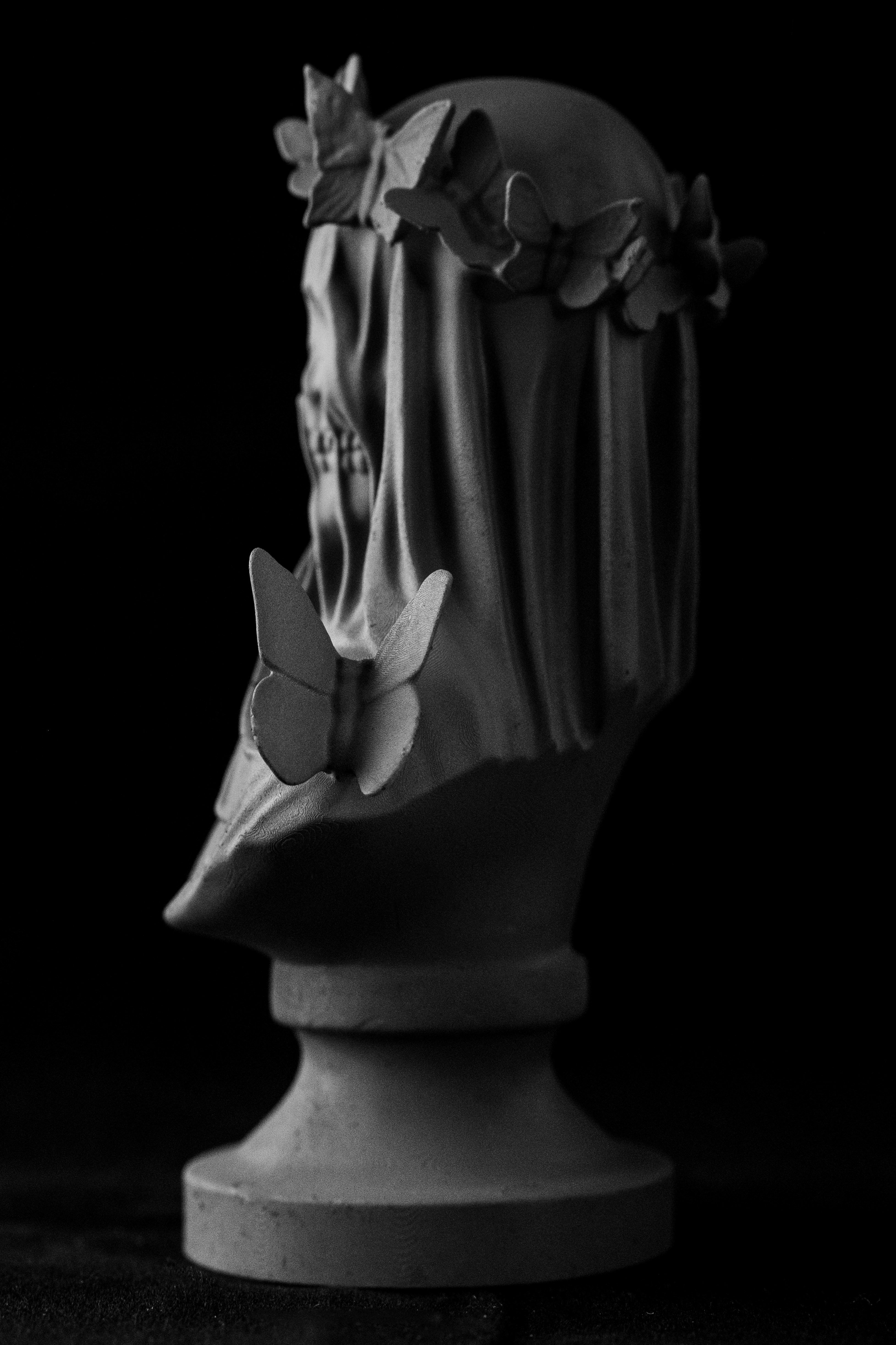 Flutterby Skull Bust (Pre Supported) — miniatura 4