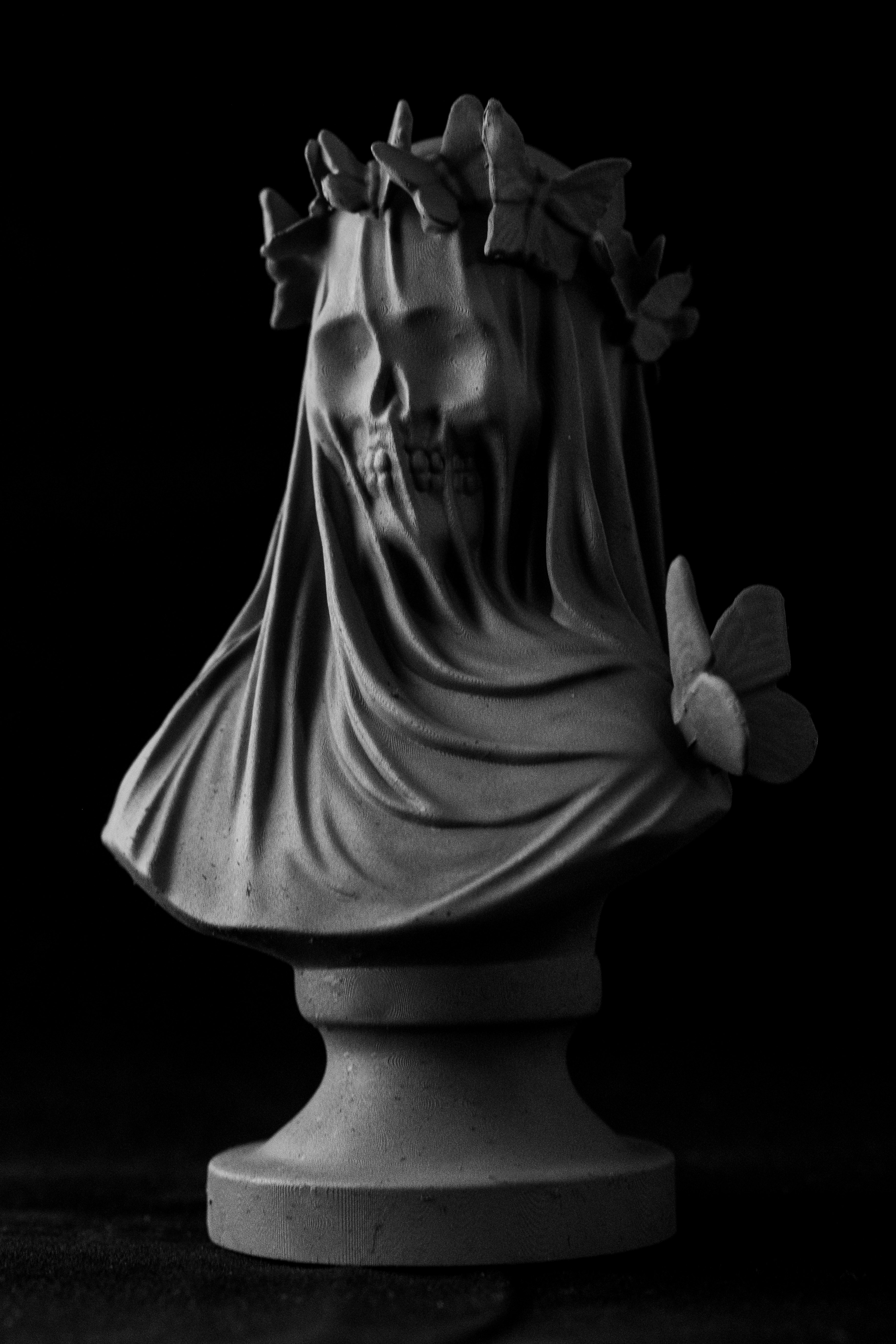 Flutterby Skull Bust (Pre Supported) — miniatura 3