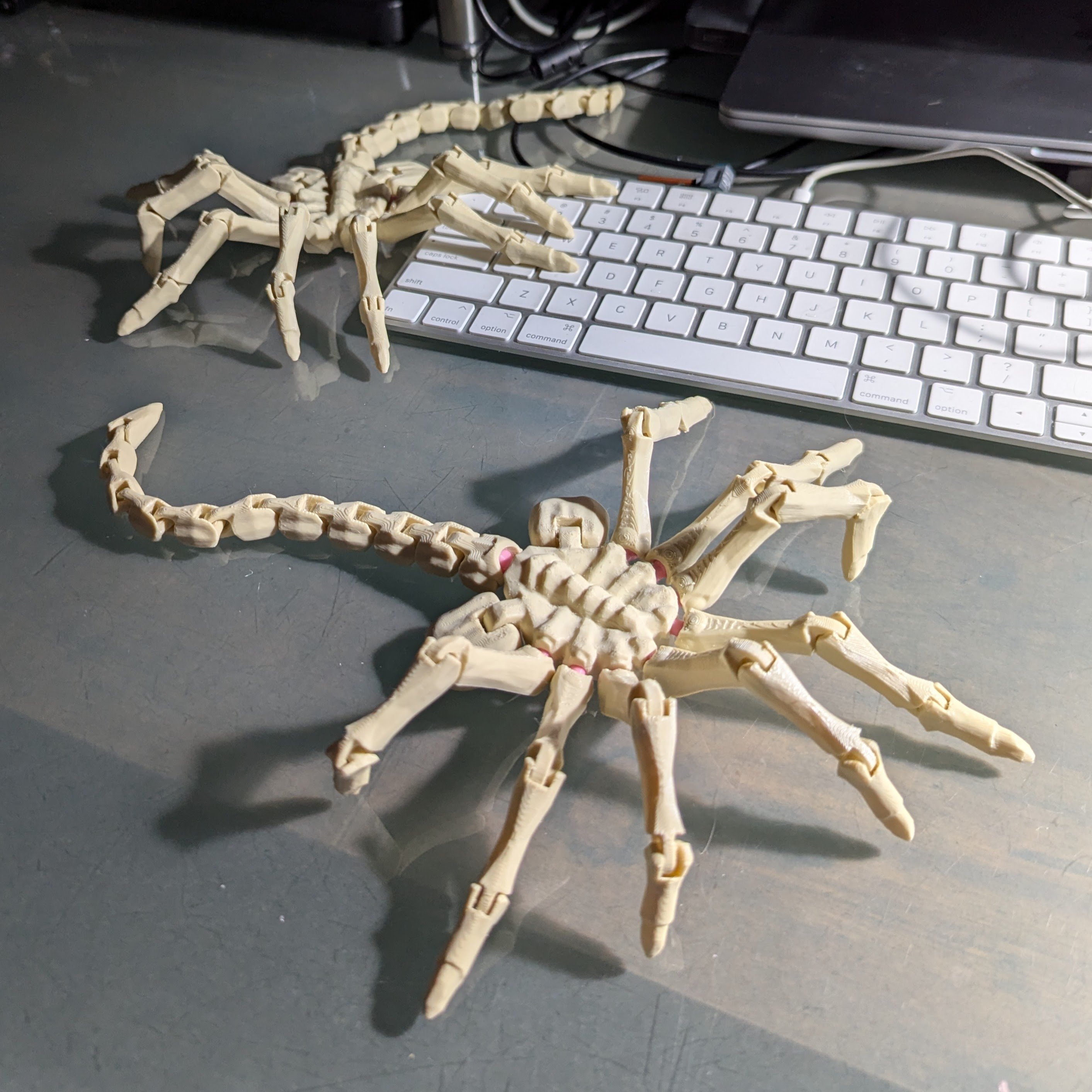 Miniatura 5 do modelo 3D Semi-Posable Face Hugger