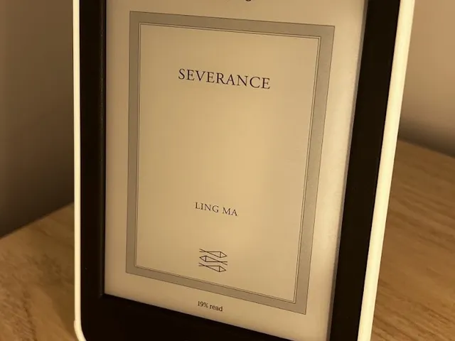 Kobo Clara BW Case