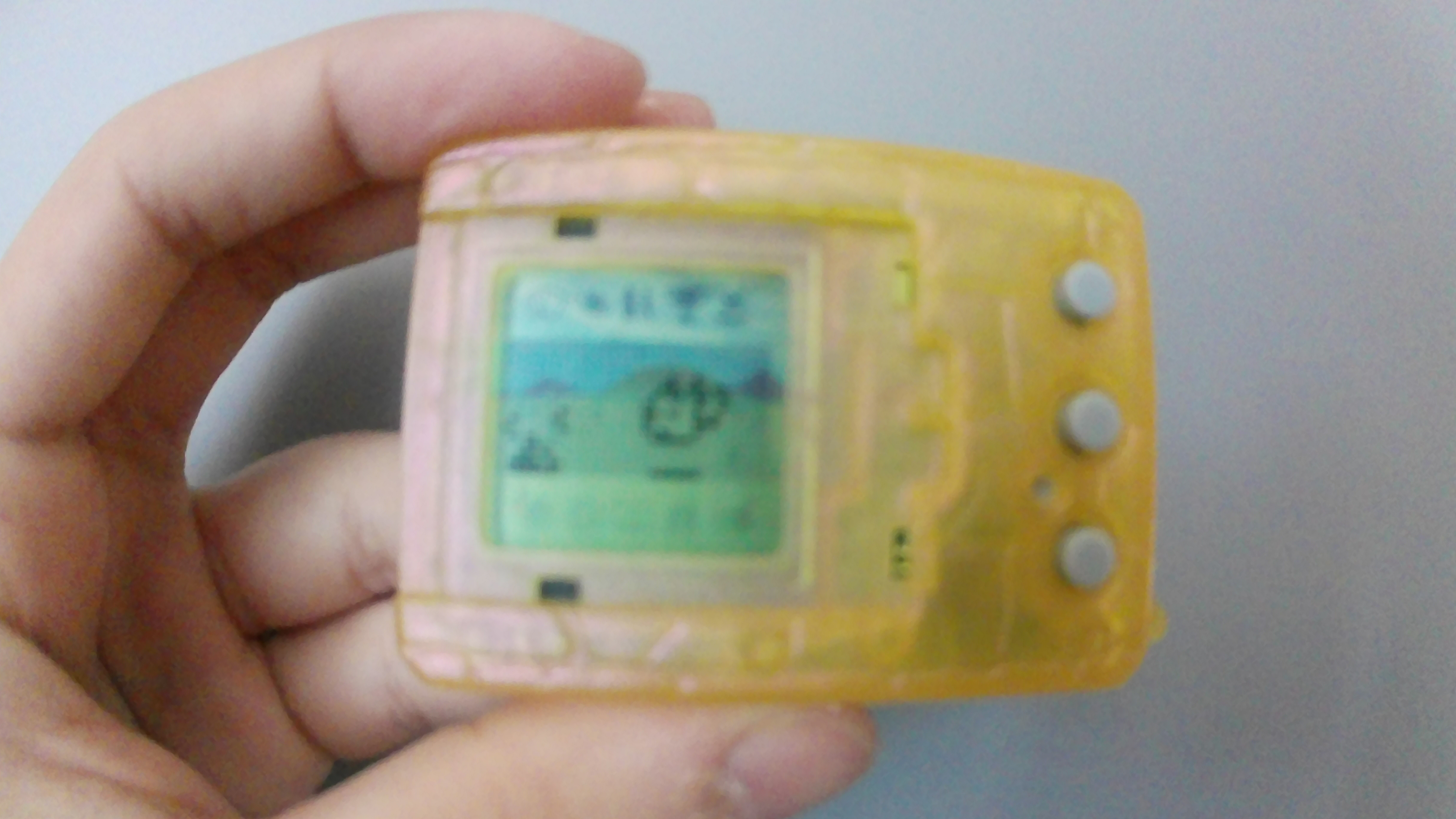 Digimon Case