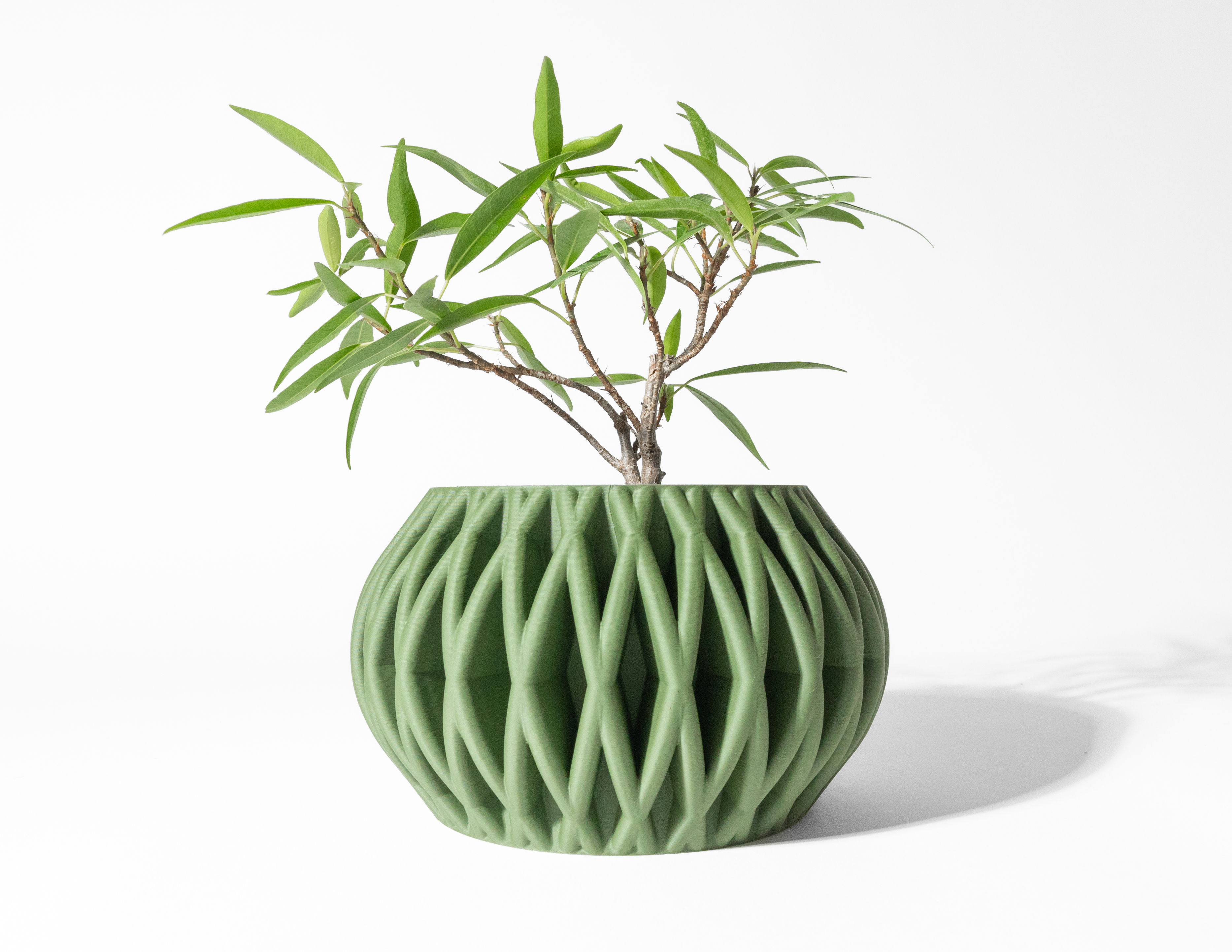 The Maka Planter Pot with Drainage Tray & Stand: Modern and Unique Home Decor for Plants and Succulents