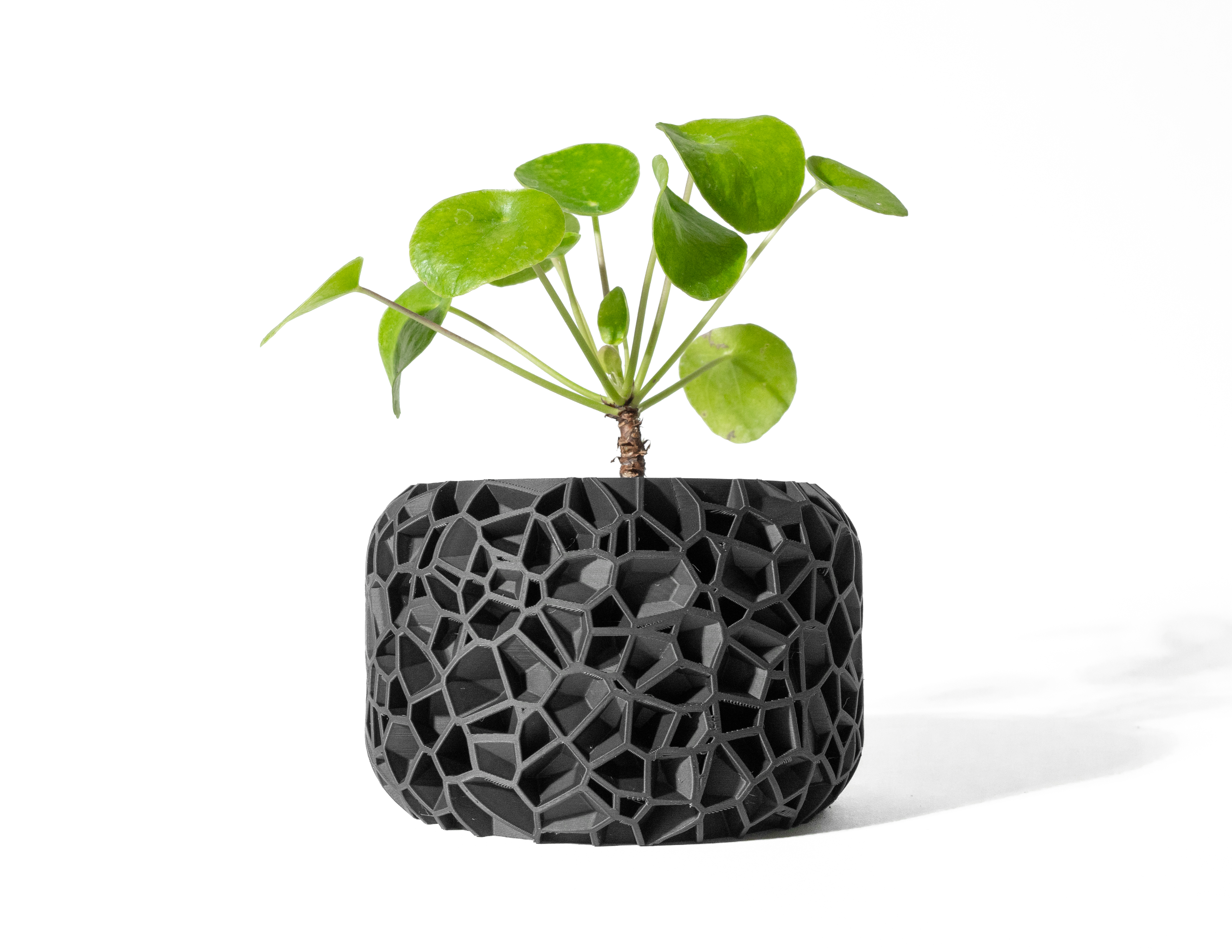 The Vori Planter Pot with Drainage Tray & Stand: Modern and Unique Home Decor for Plants and Succulents