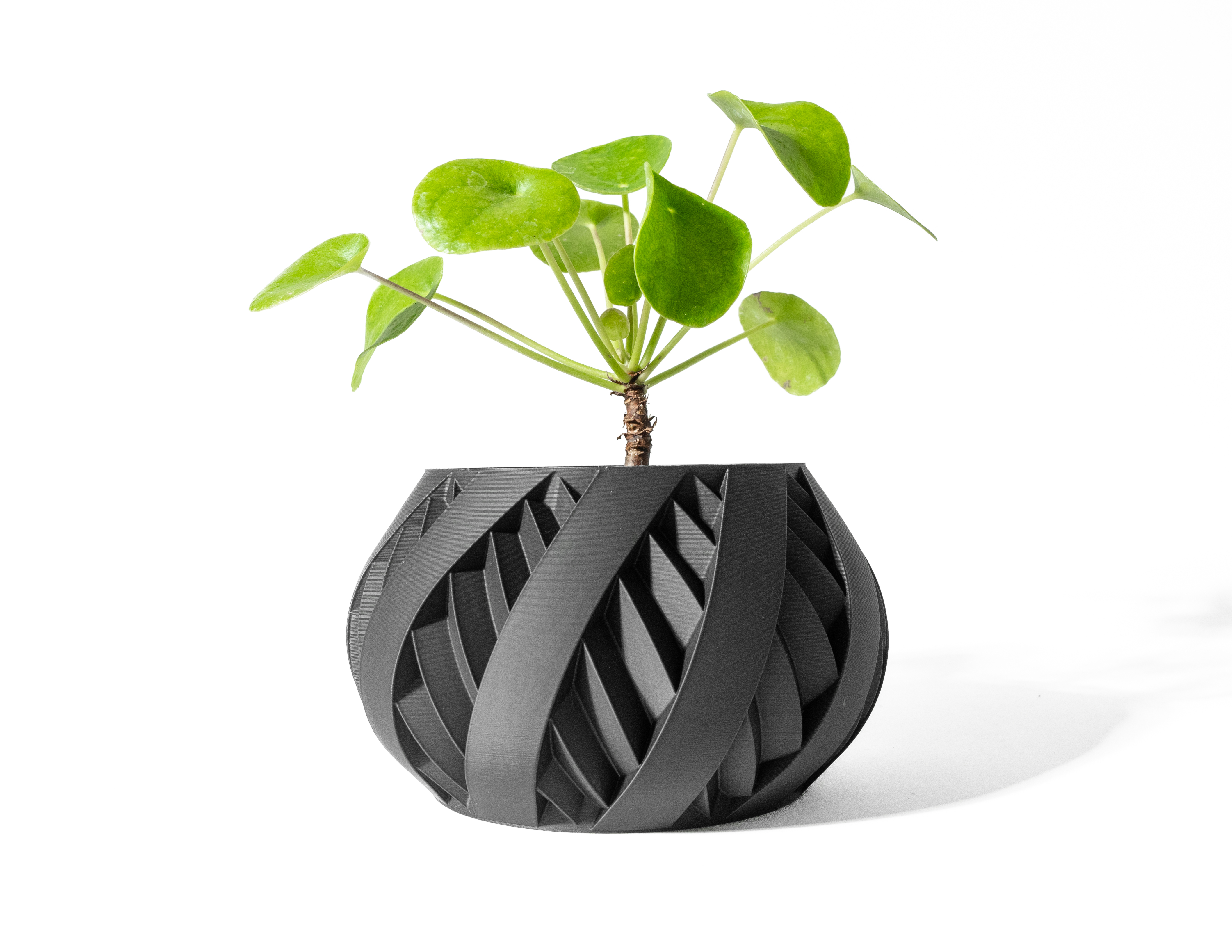 The Silvo Planter Pot with Drainage Tray & Stand: Modern and Unique Home Decor for Plants and Succulents