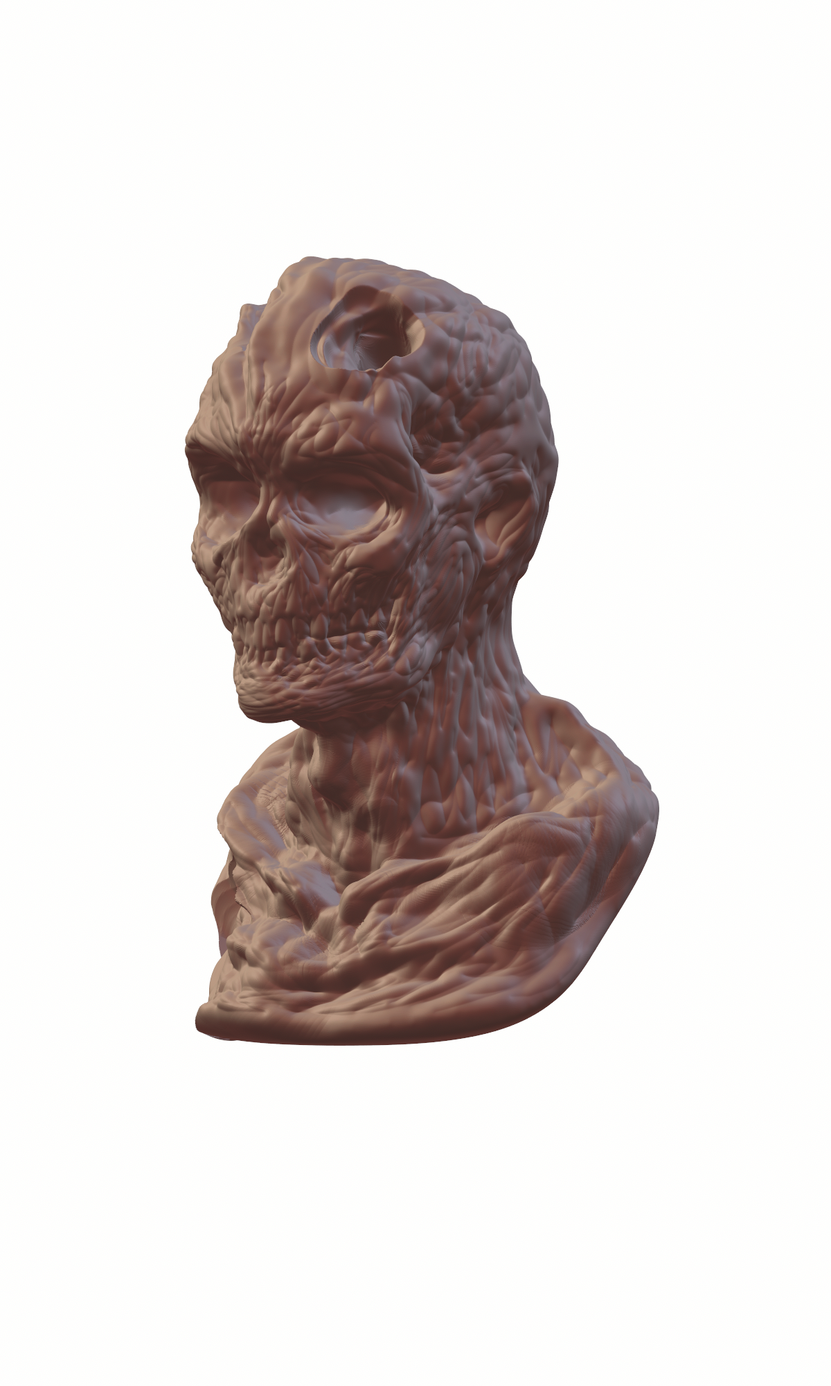 Low and Hi REZ ZOMBIE HEAD
