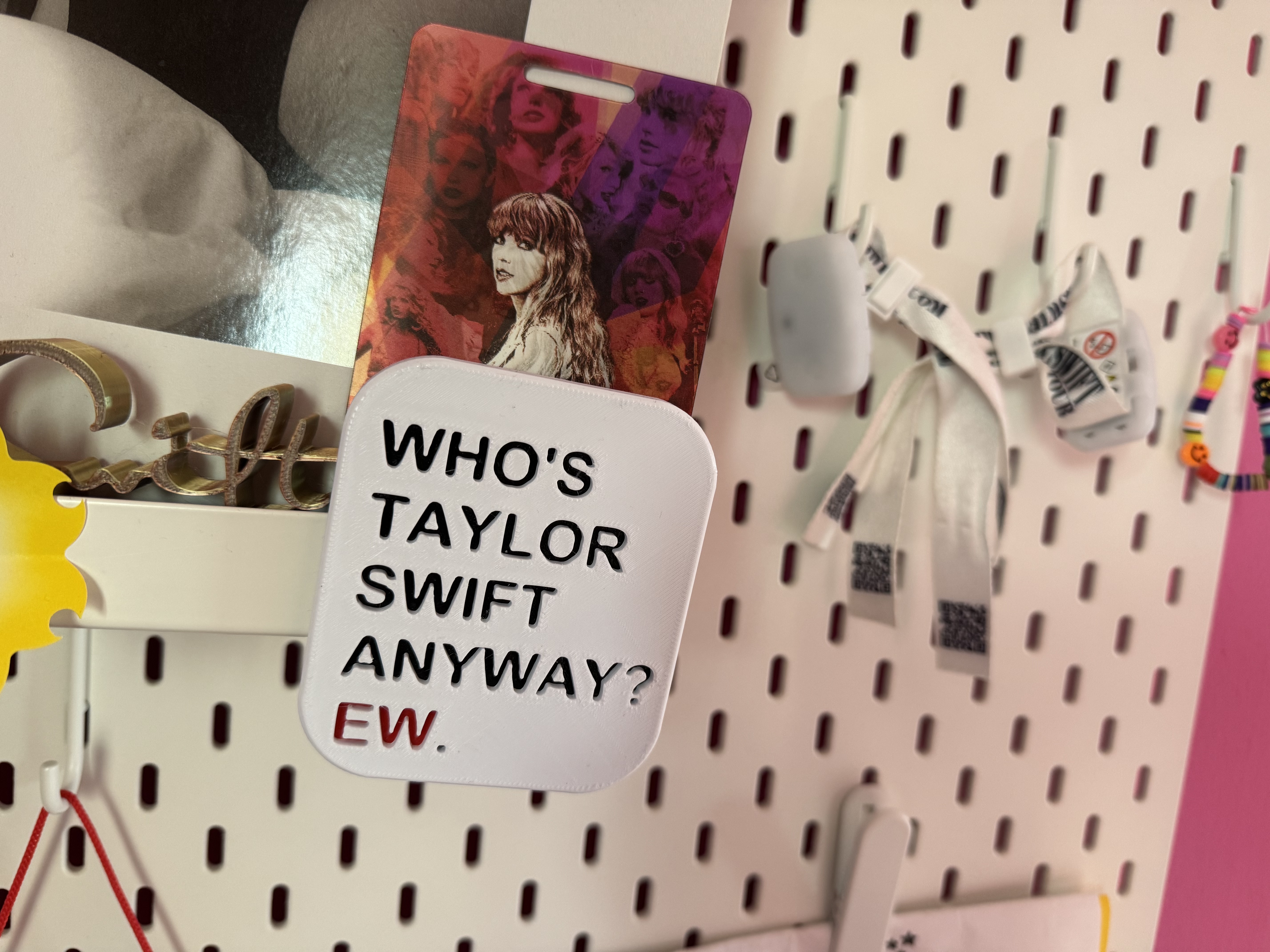Who's Taylor Swift Anyway?  Magnet or Coaster