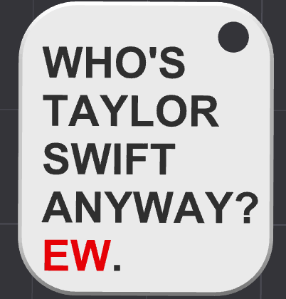 Who's Taylor swift anyway Keychain