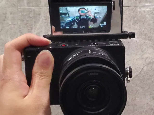 Sigma fp Articulating Mirror