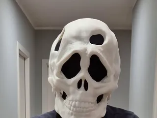 Skull Mask by Petricius | Download free STL model | Printables.com