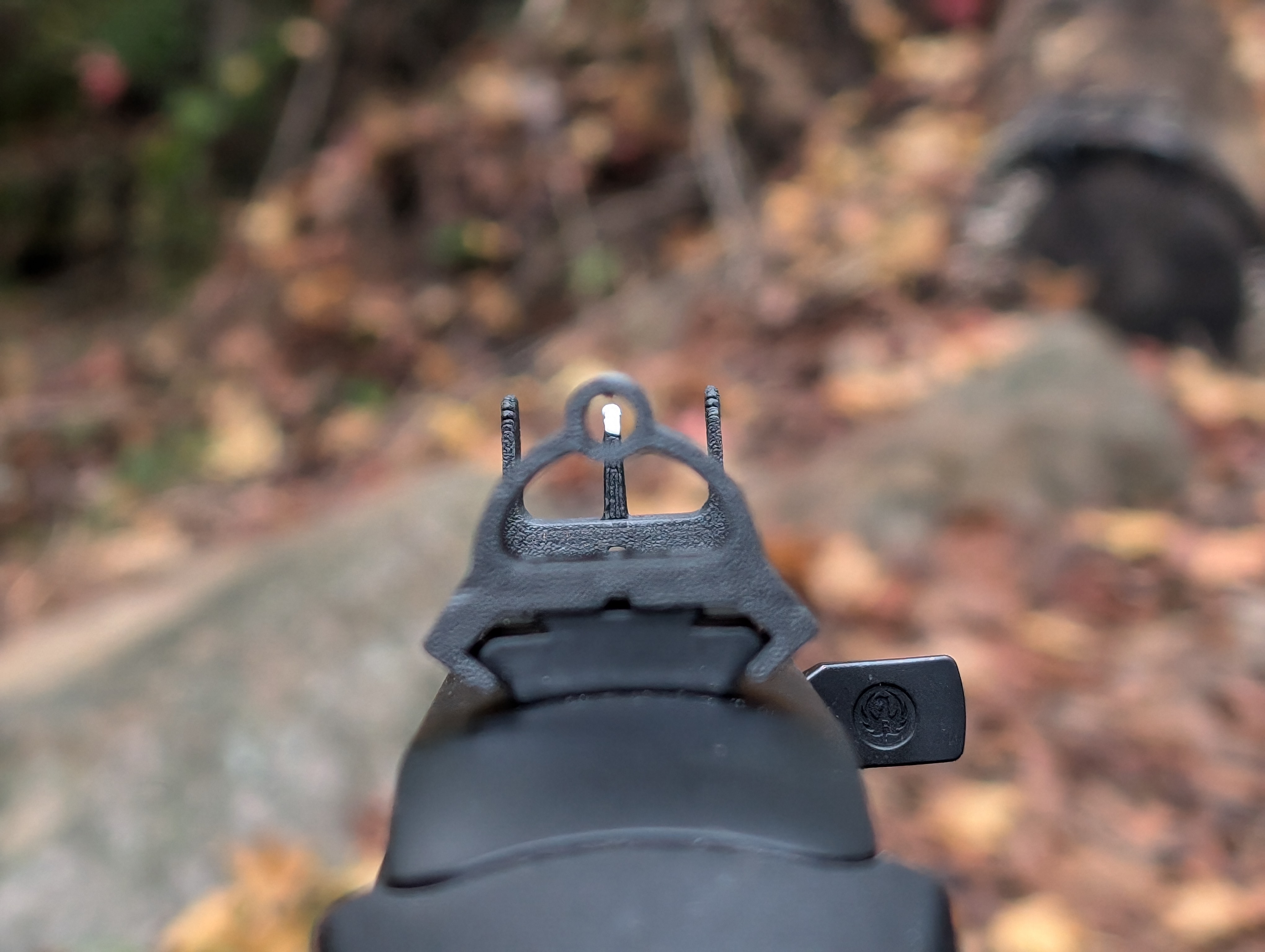 Ghost ring / peep iron sights for air rifle or 22