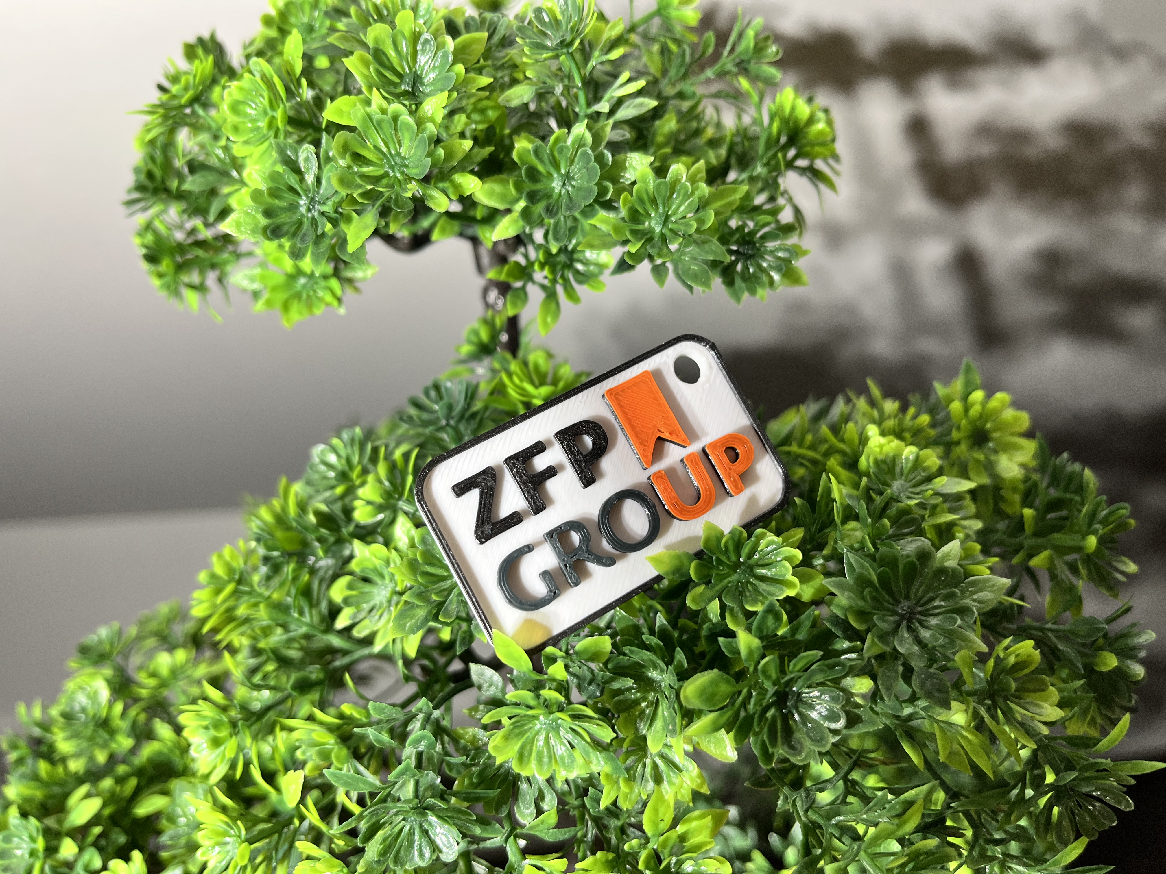 ZFP keychain