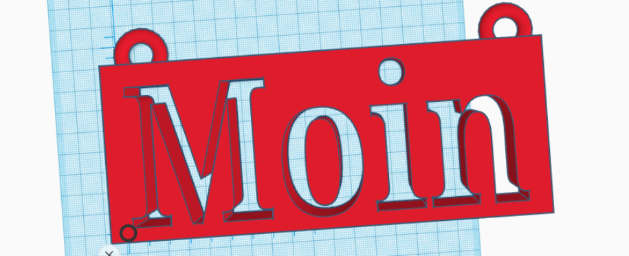 Moin Türschild