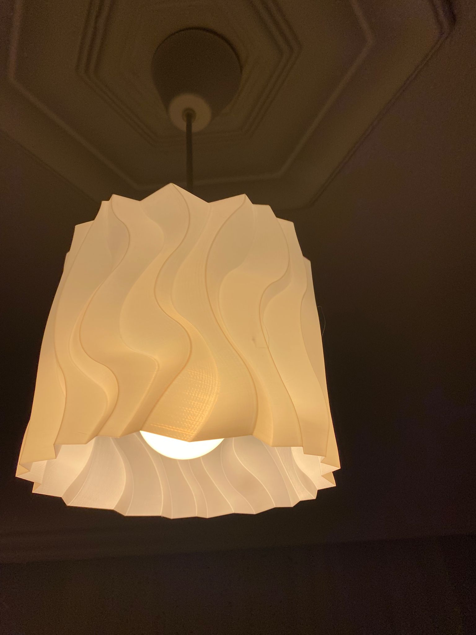 Distortion 2 Pot Ceiling Lamp / Lamp shade