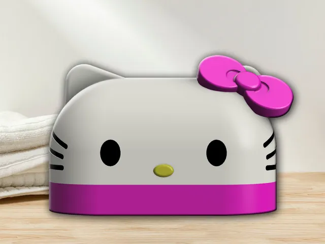 Hello Kitty Soap Holder Hello Kitty Soap Box
