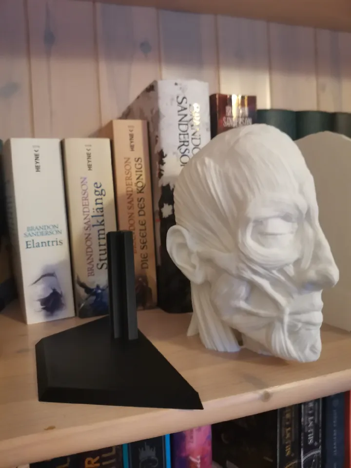 Ecorche Bookends - Human Anatomy by Xipit | Download free STL model ...