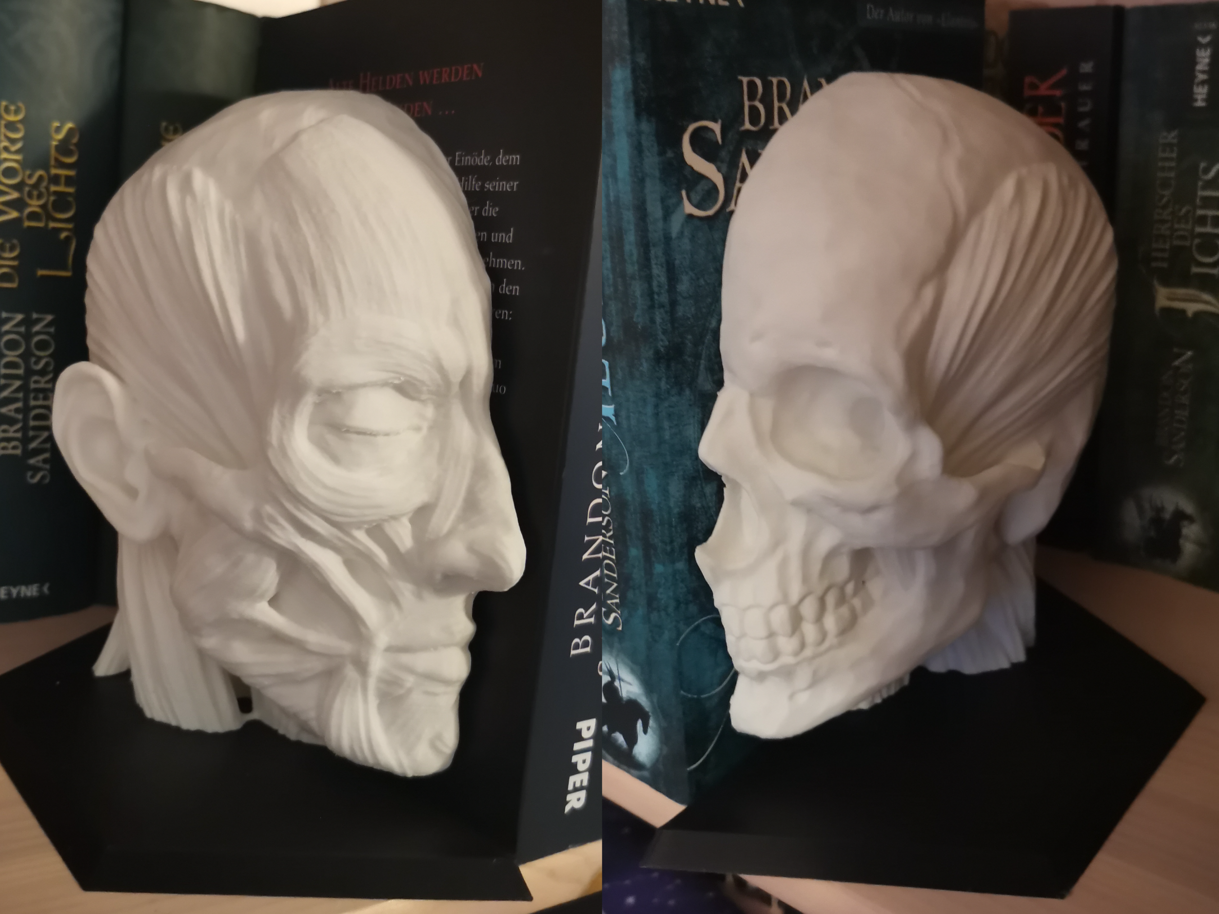 Ecorche Bookends - Human Anatomy