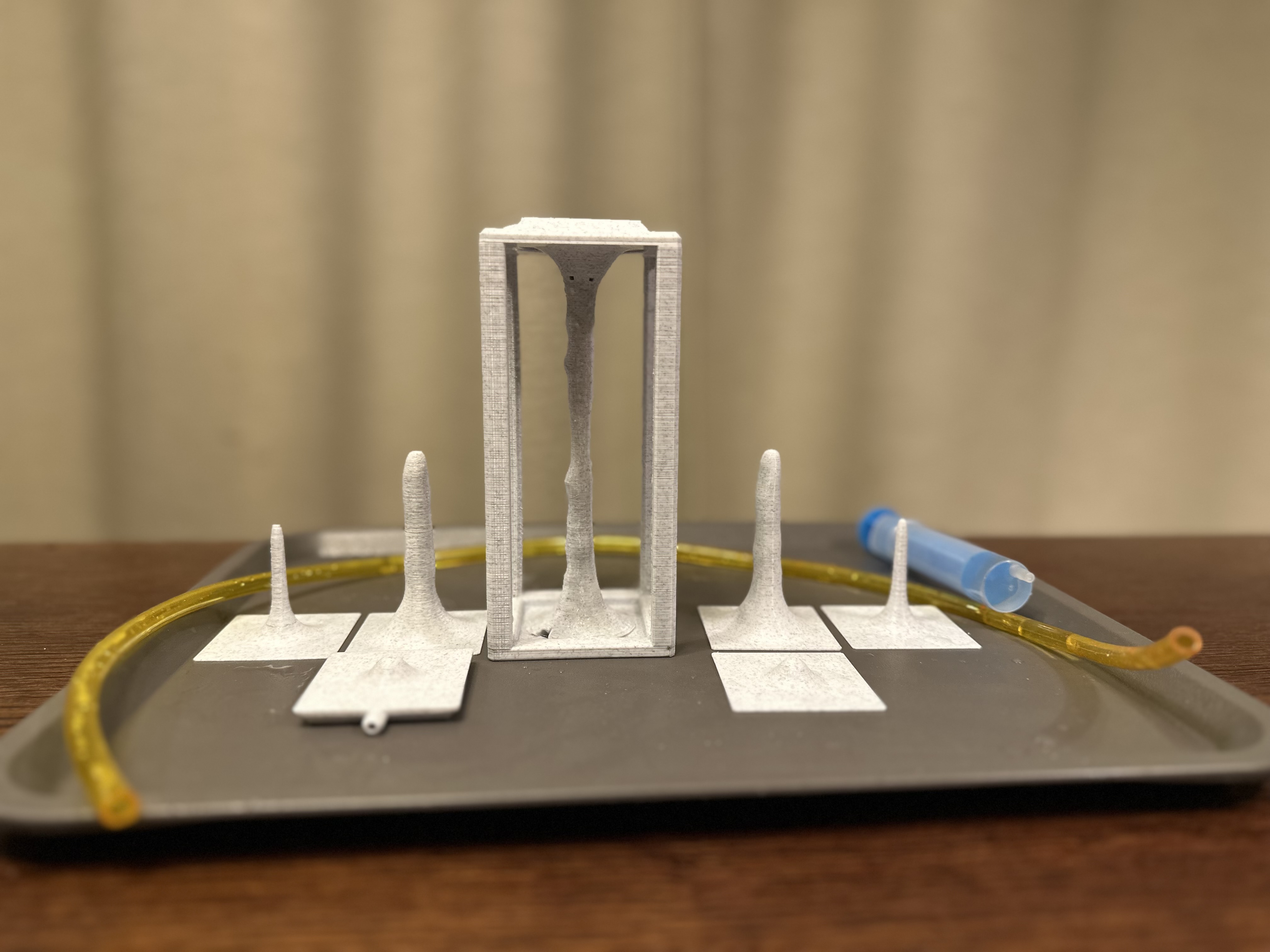 Stalactite, Stalagmite and Column formation model
