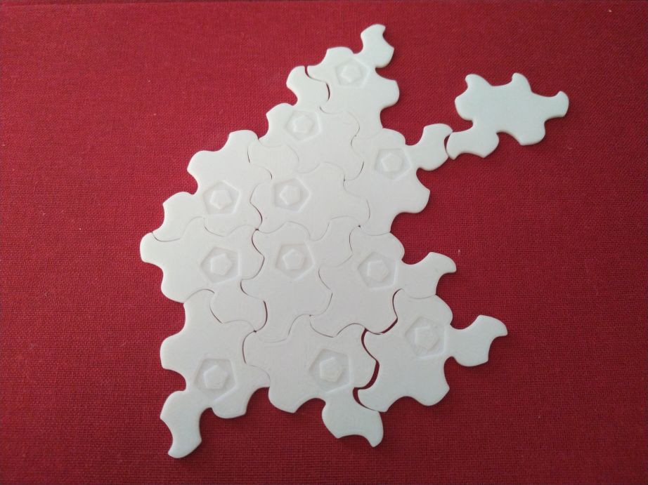 Einstein Tiles