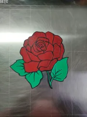 Image preview