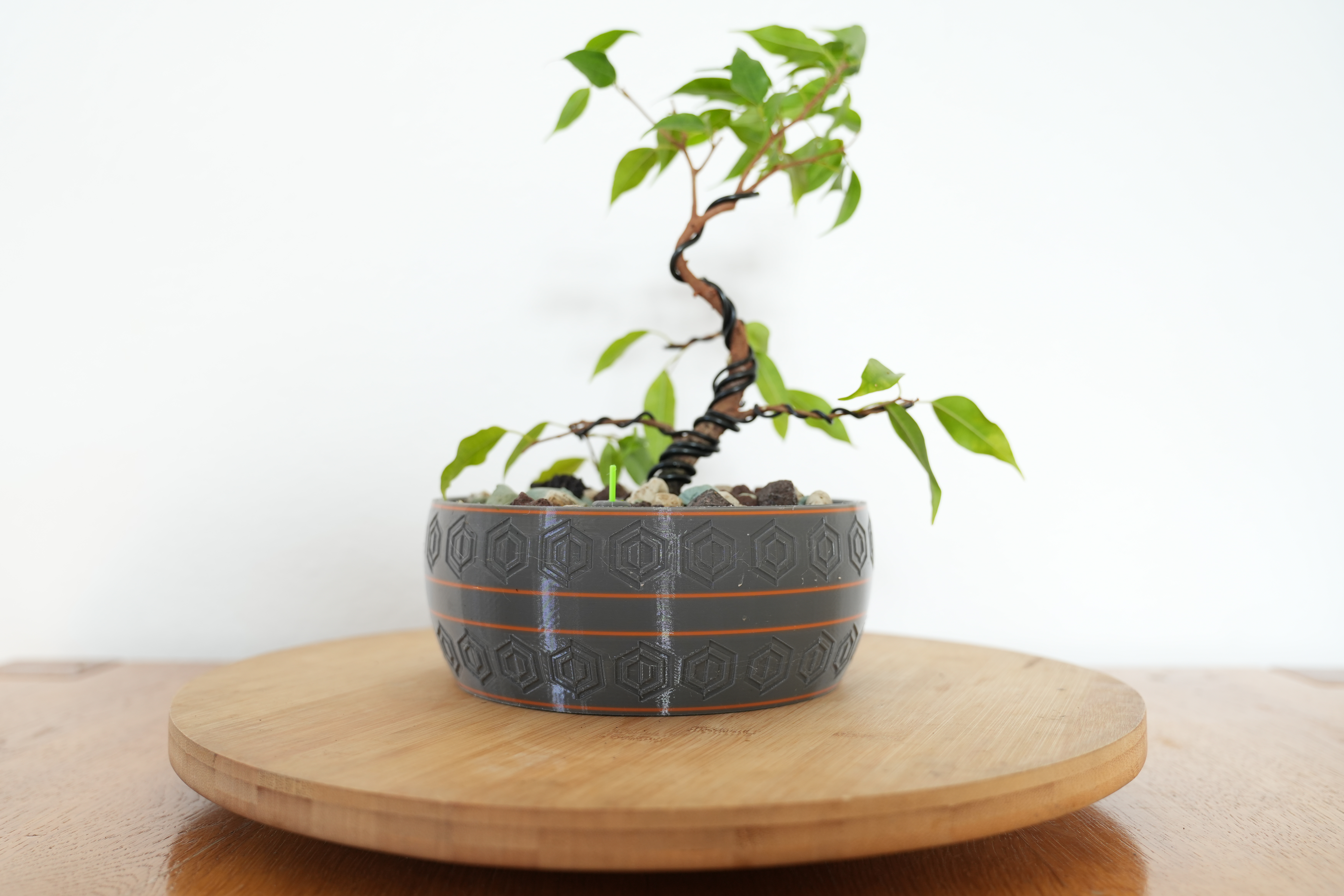 Self watering Bonsai Pot - 170mm/70mm