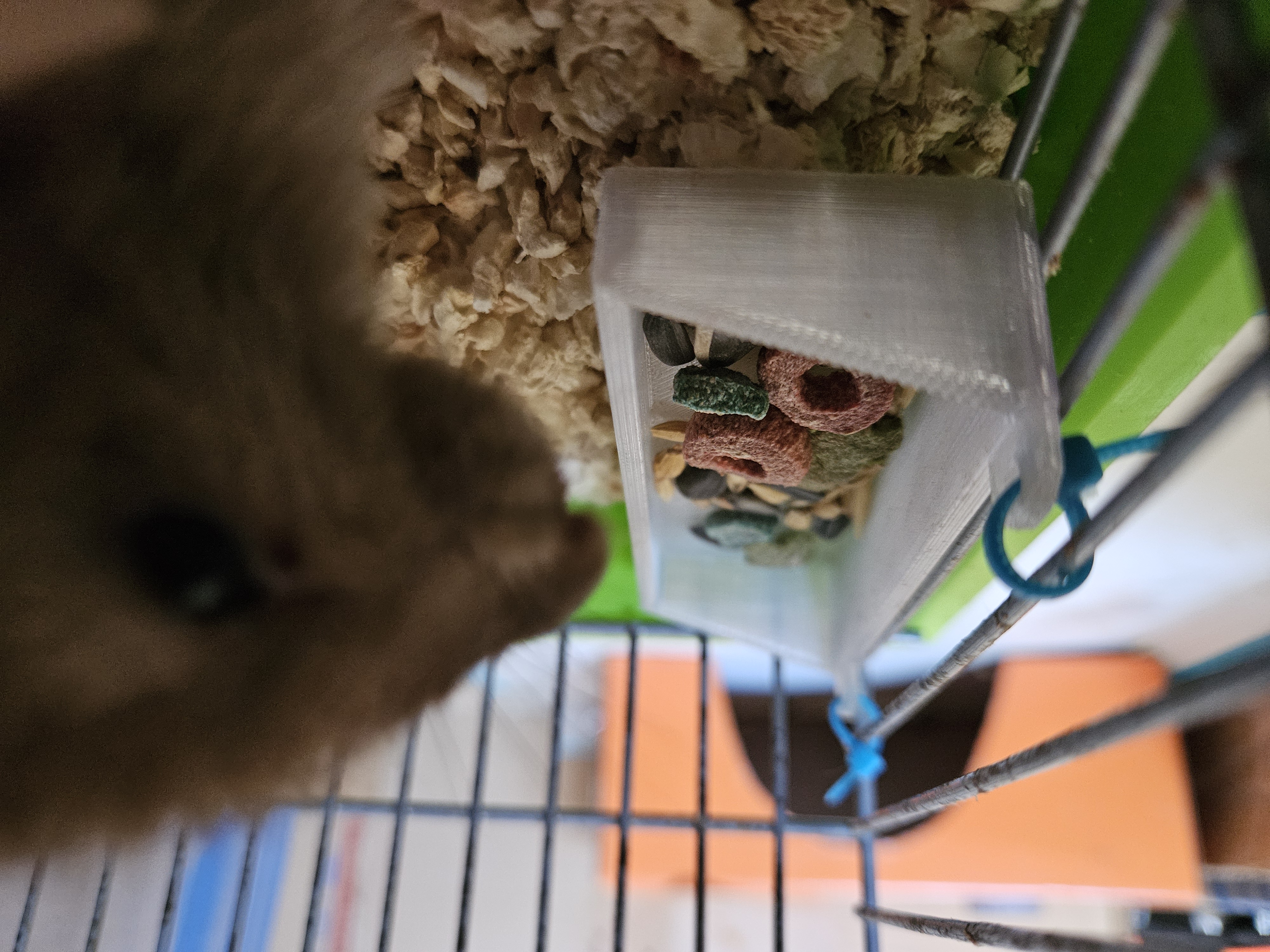 Feeder for hamster