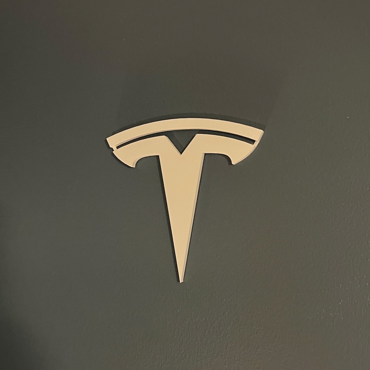Tesla Logo (One Piece)