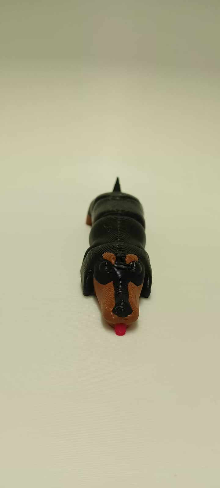 Flexi Dachshund — miniatura 5