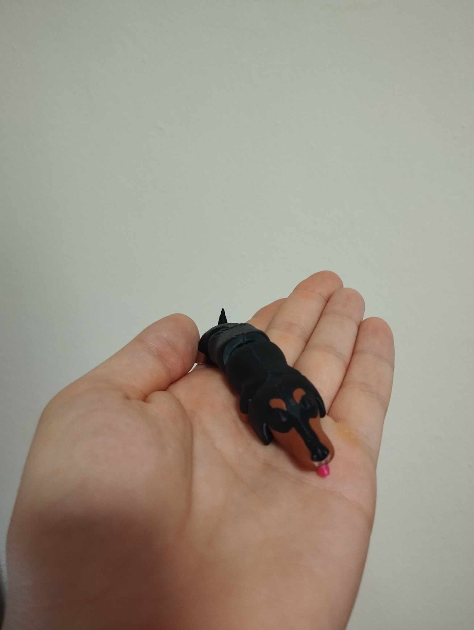 Flexi Dachshund
