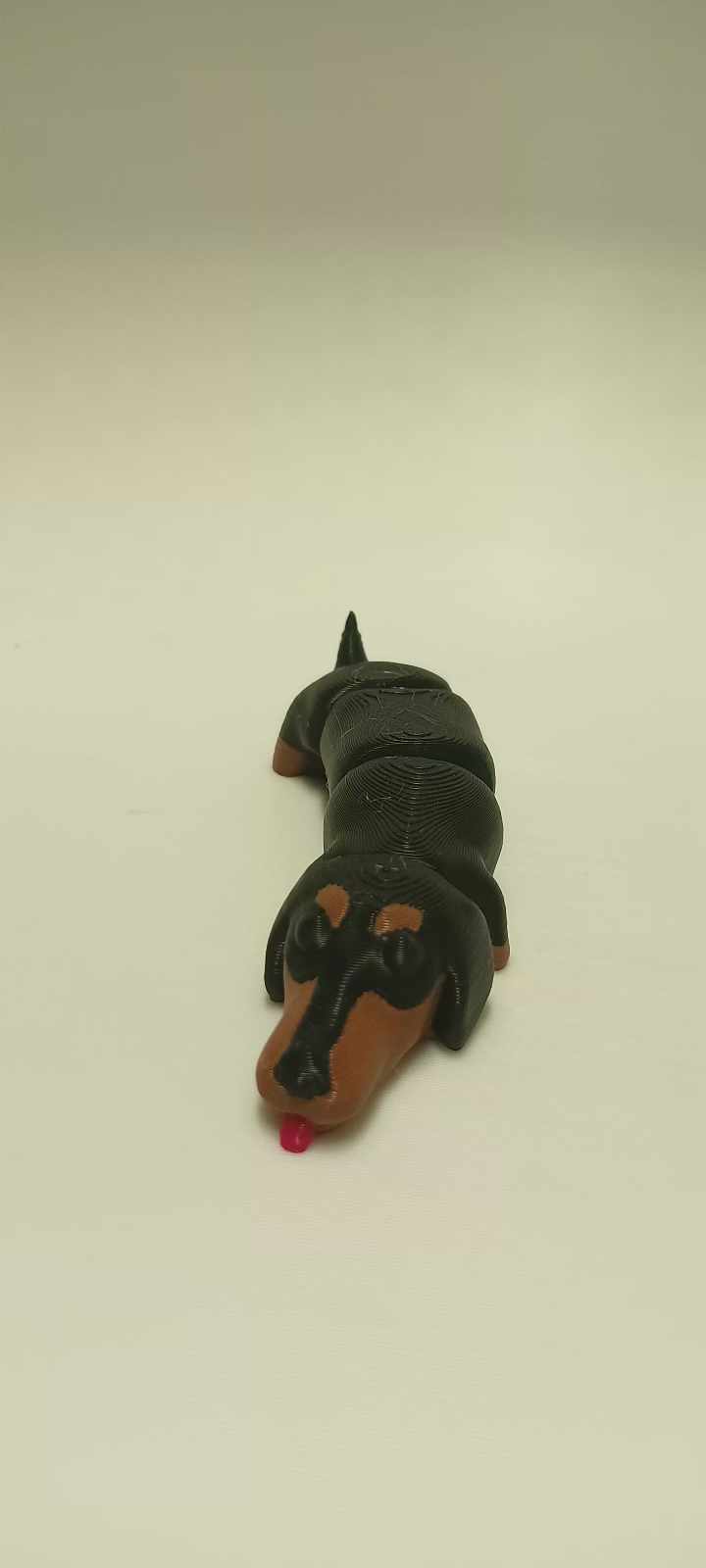 Flexi Dachshund — miniatura 2