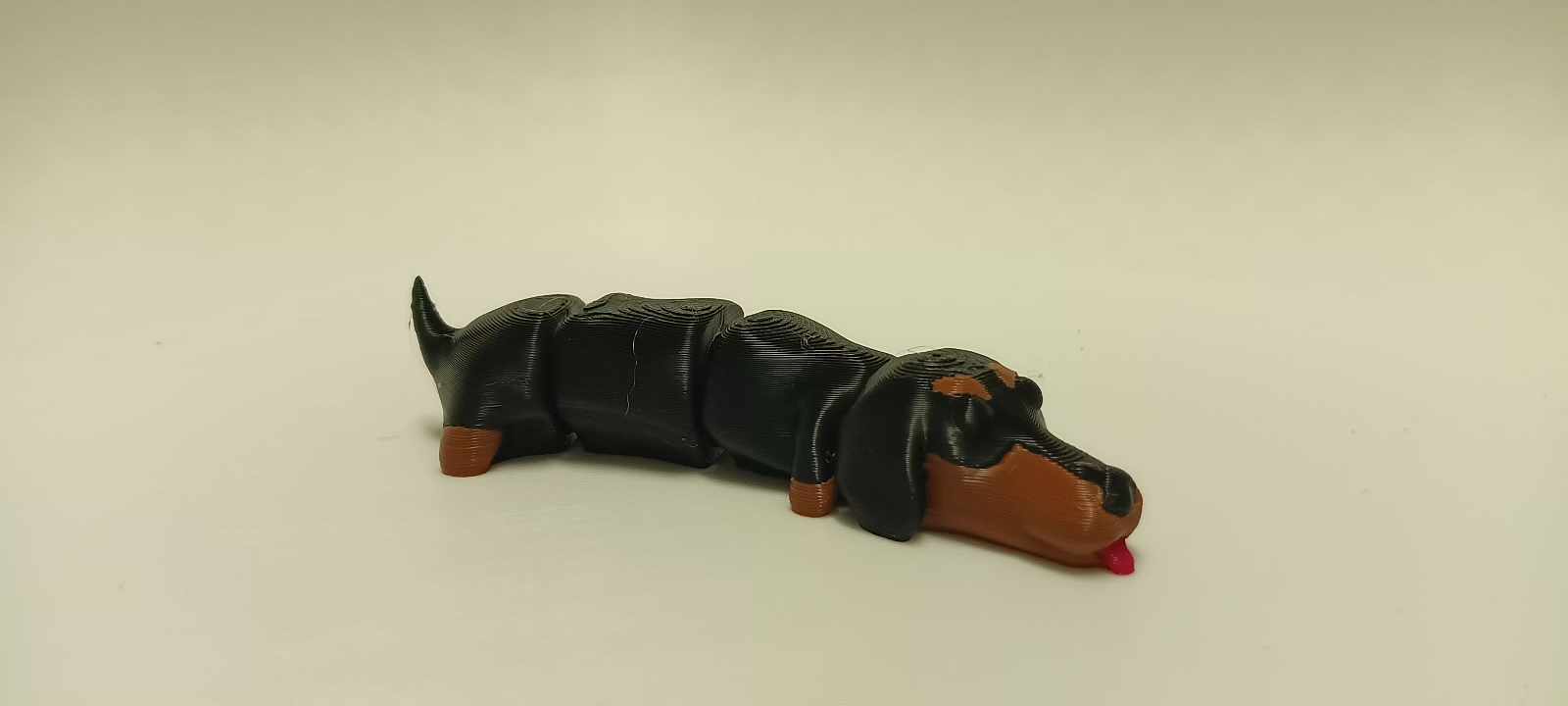 Flexi Dachshund — miniatura 3