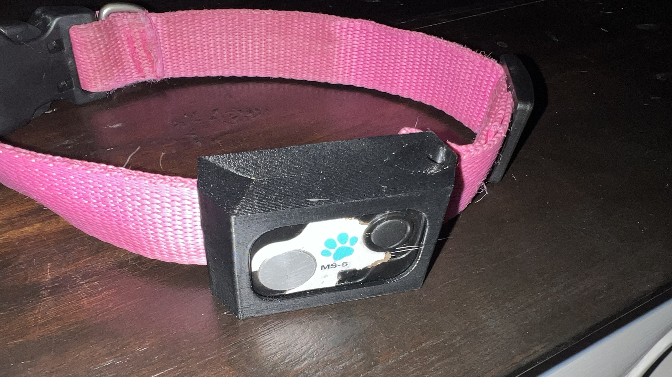 High Tech Pet - MS-5 Collar wEmbedded Nuts