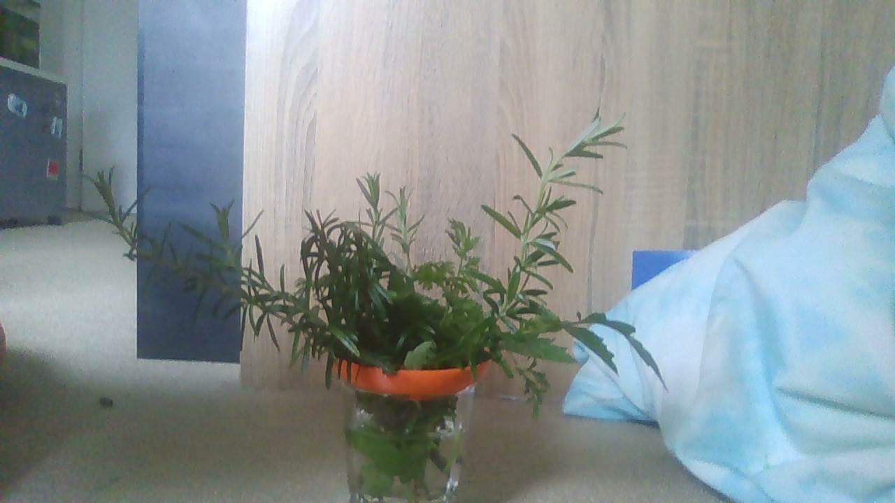 Cutting root starter