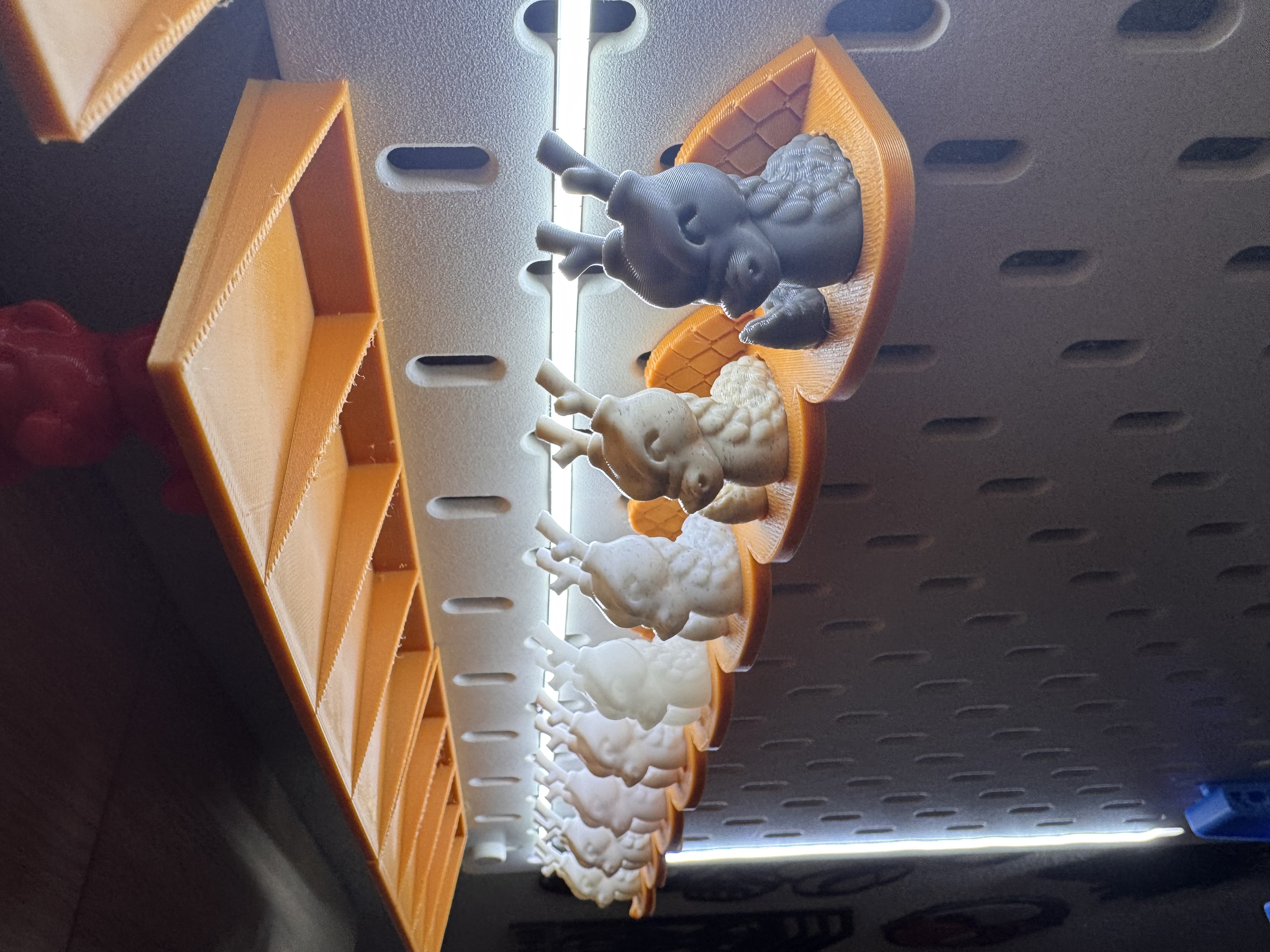 Cali-Dragon Display set v2