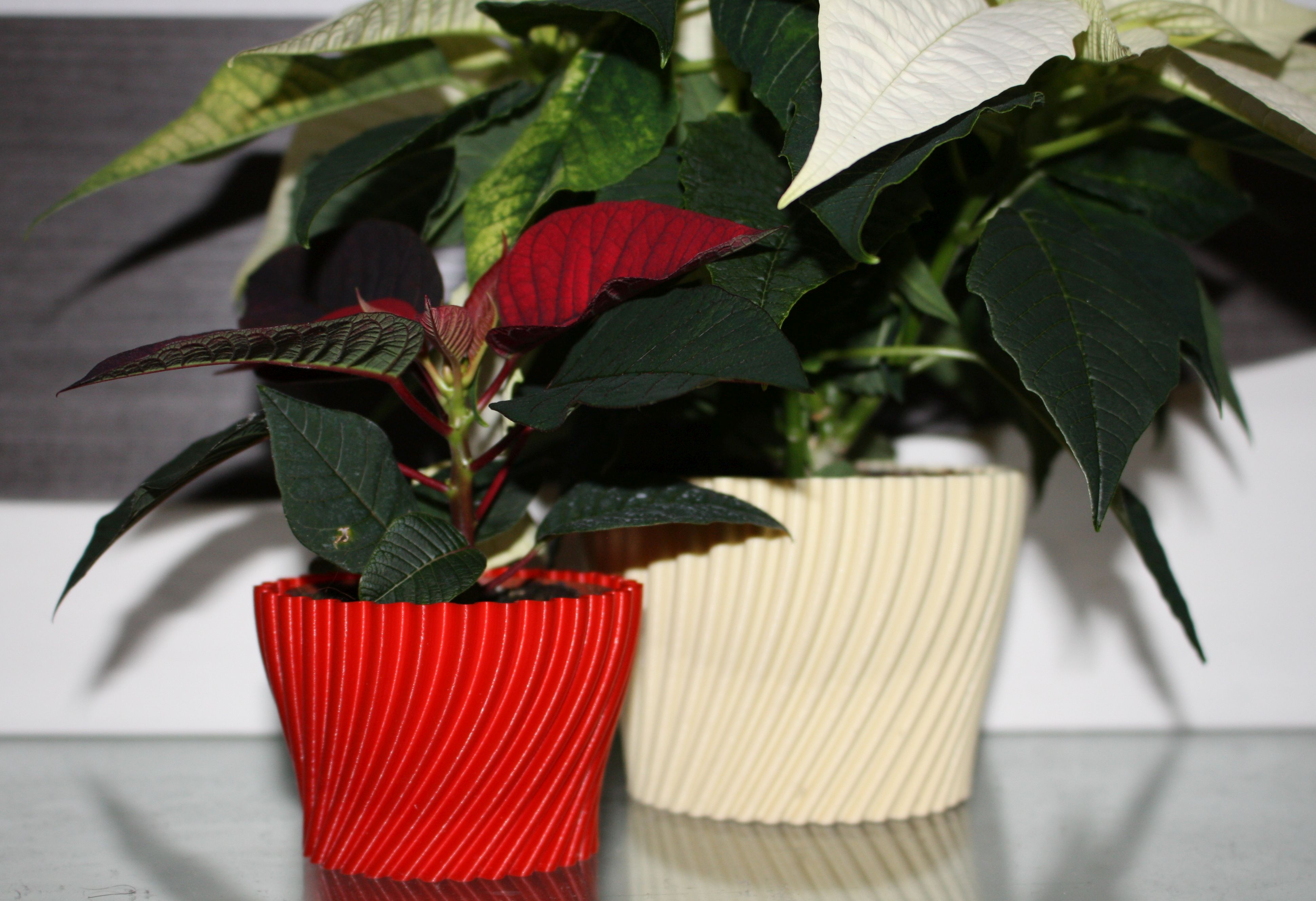 Ripply Planter