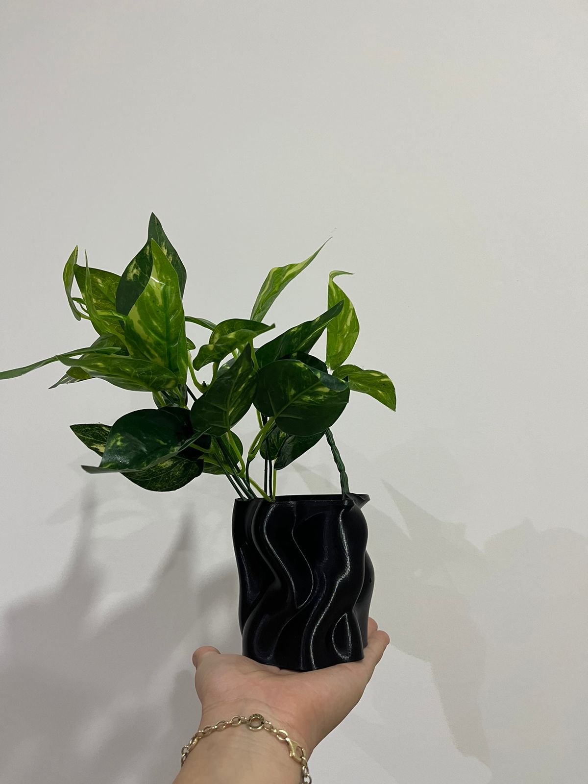Alma Floral — miniatura 2