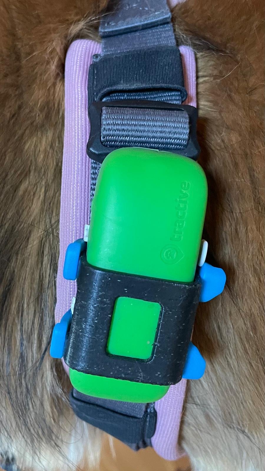 Clip Di Gomma Per Tractive DOG XL - Confezione Da 3 Pezzi, Marrone, Per Collari Fino A 4cm - Foto 5