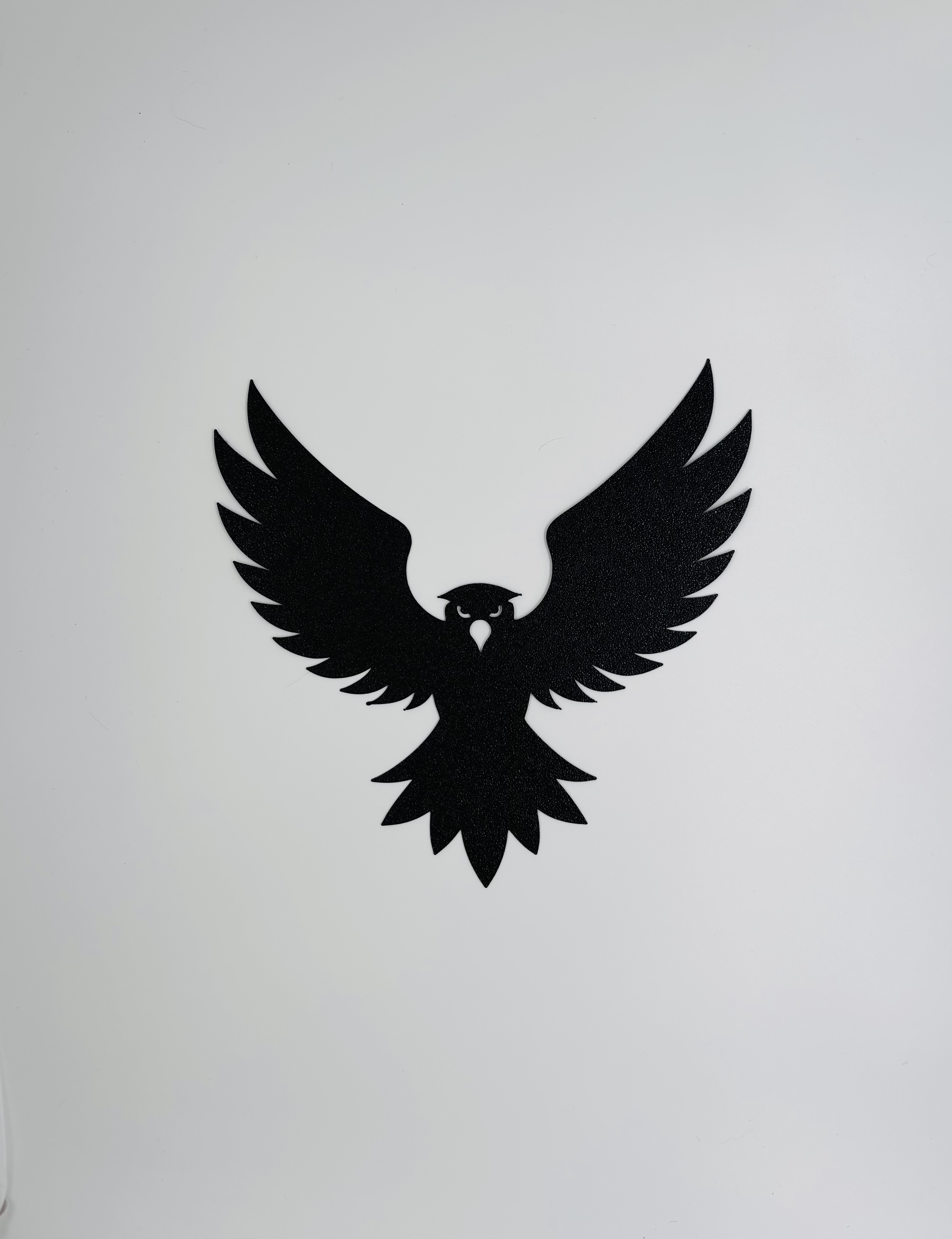 Flying eagle - wall art