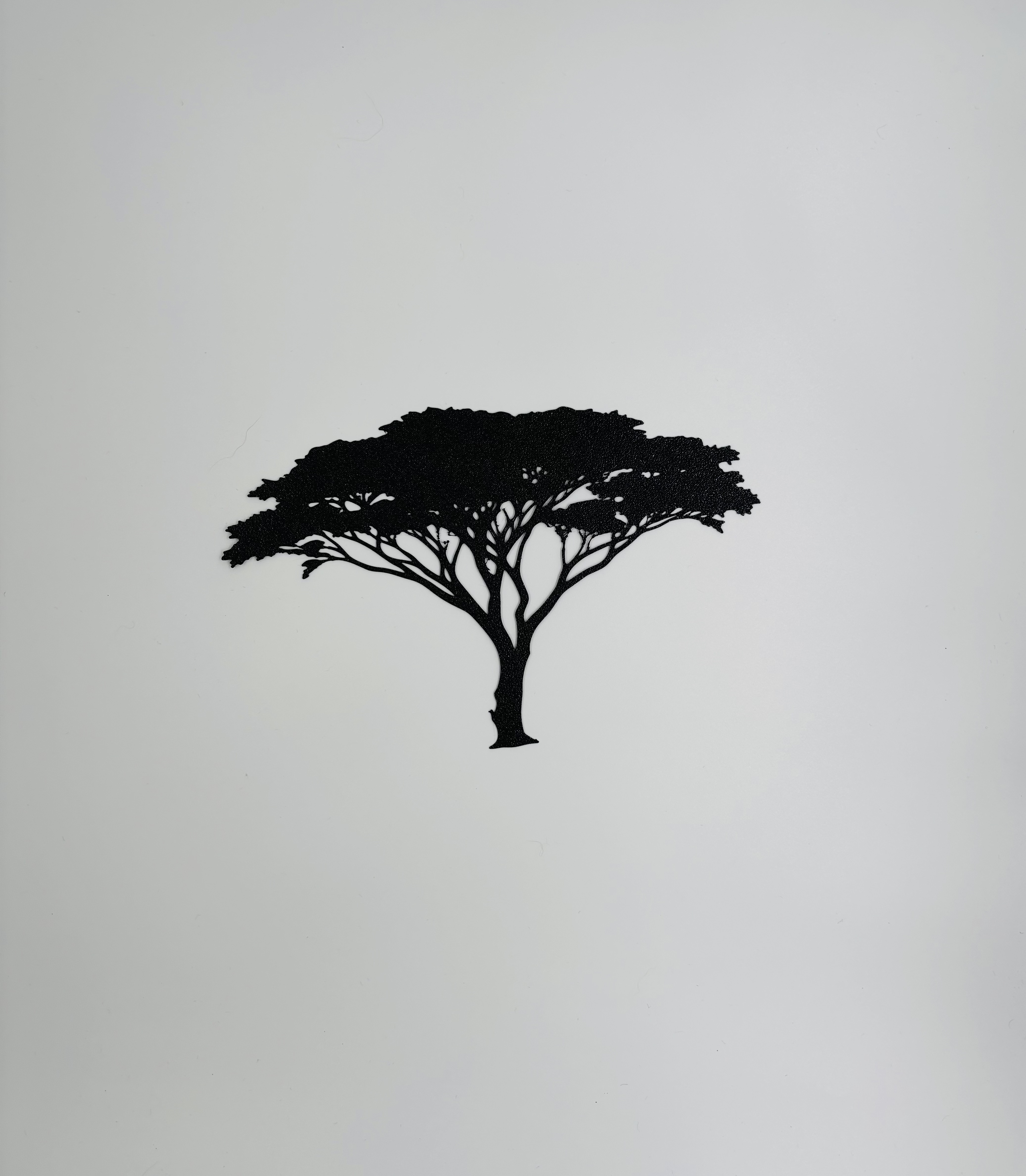 Acacia tree - wall art