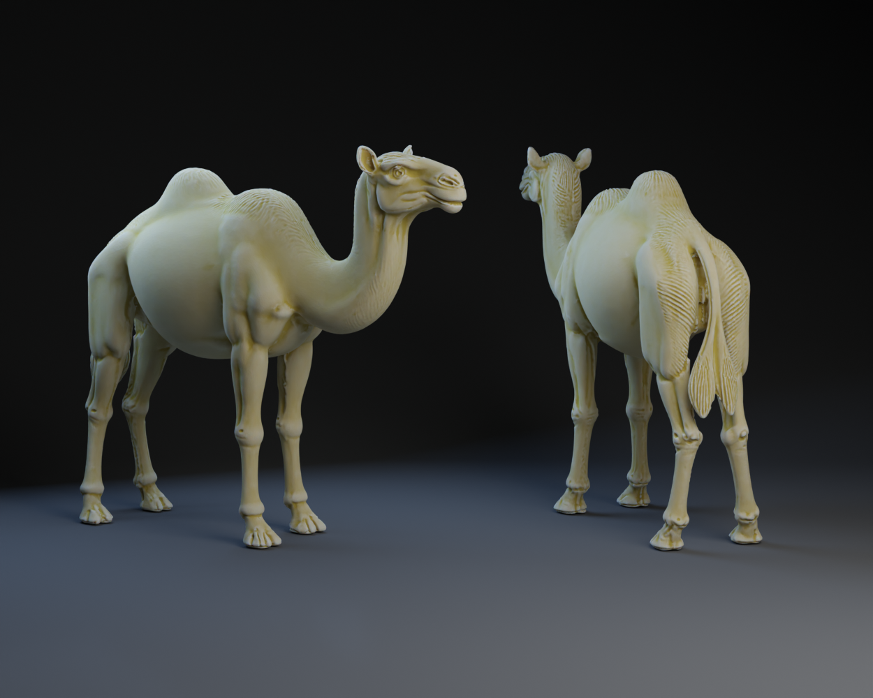 Nativity Camel