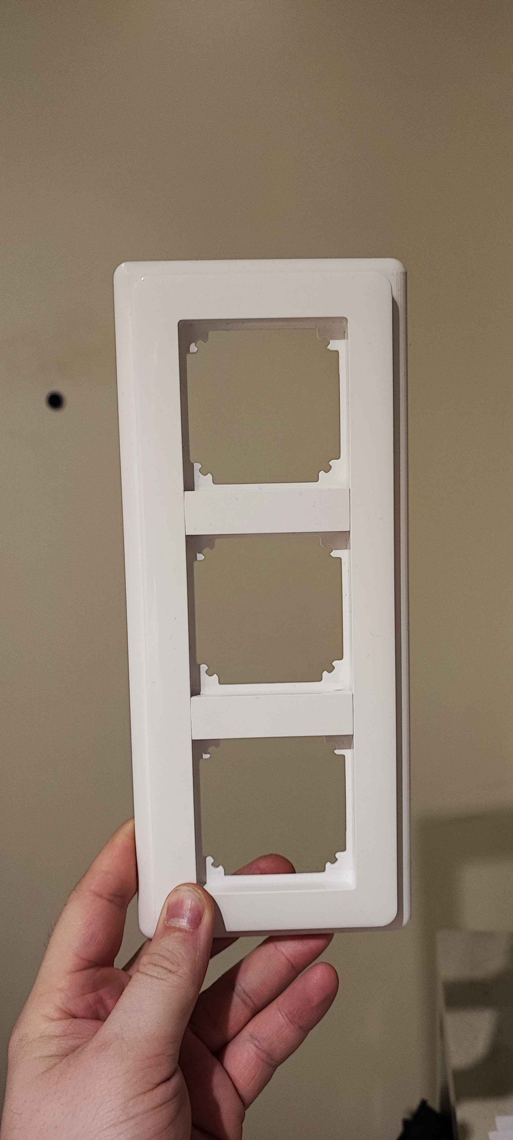 Schneider Light Switch Frame