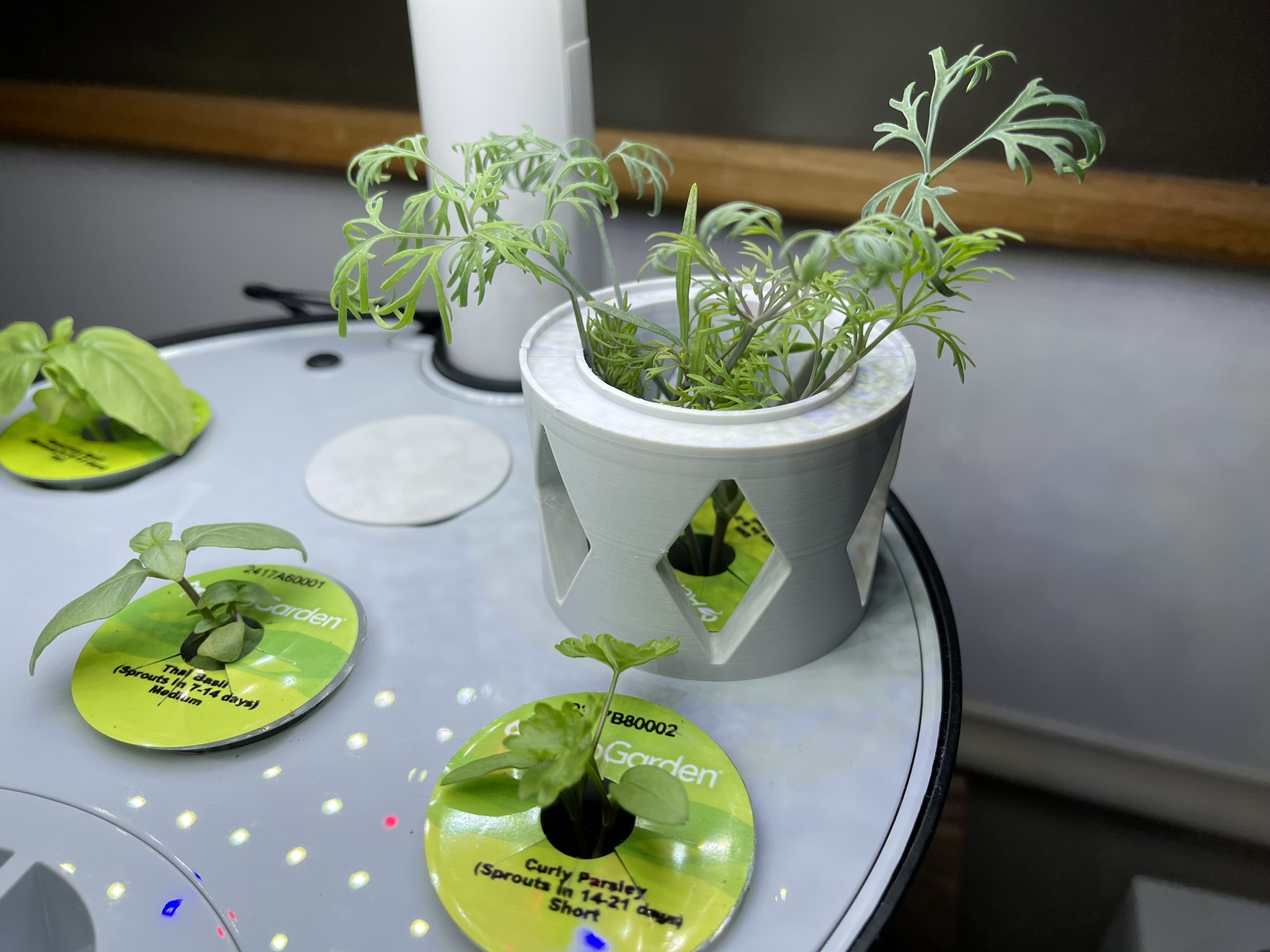 AeroGarden Magnetic Seedling Support, Stackable