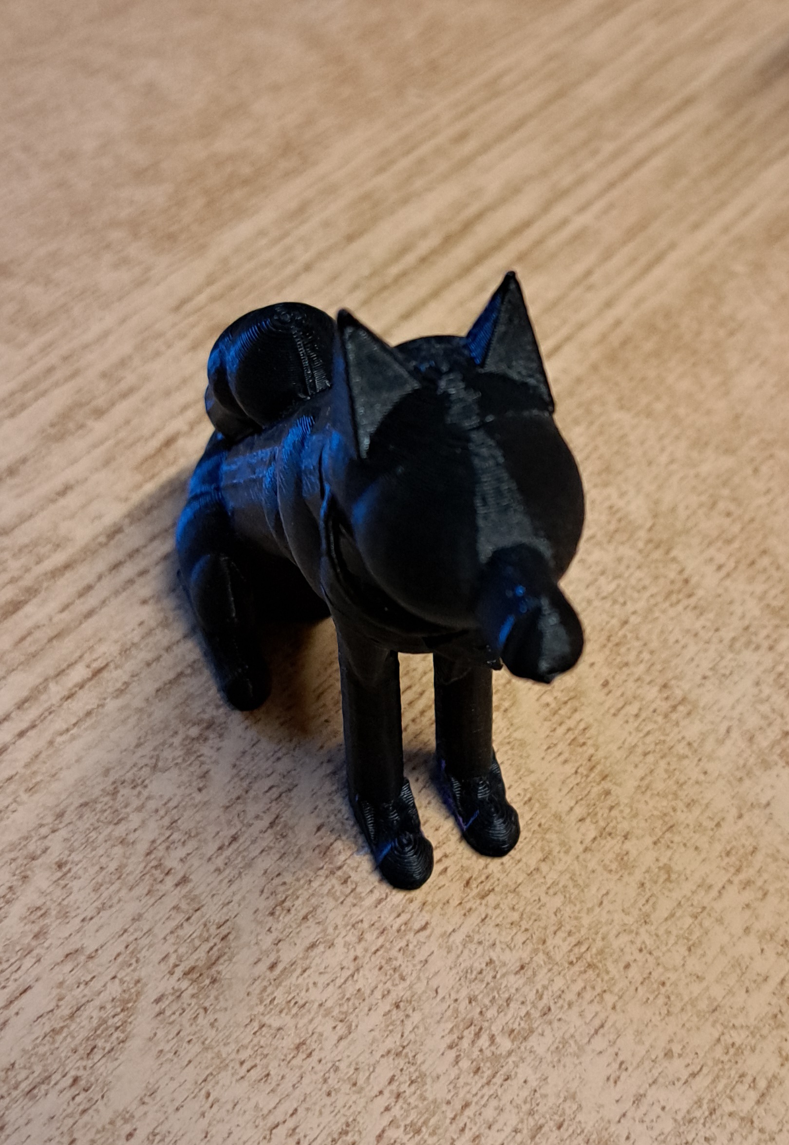 německý špic-german spitz