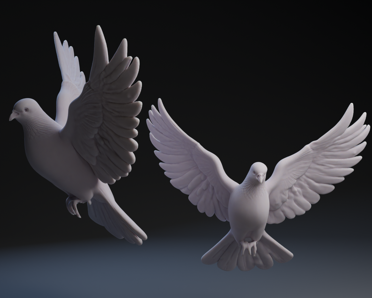 Nativity Dove