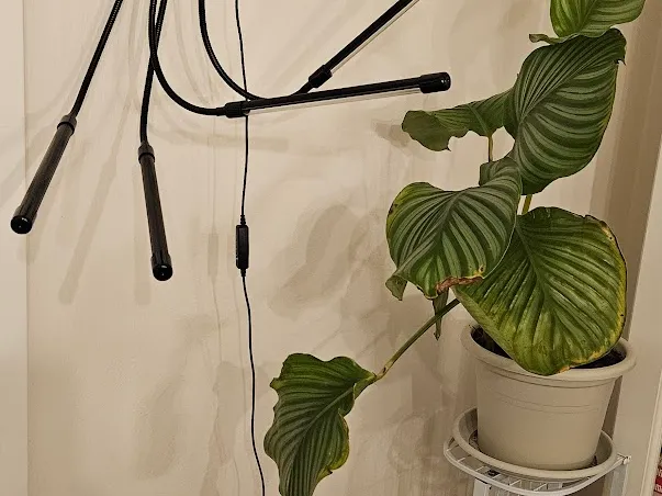 Mini Shelf for grow lights with clamp